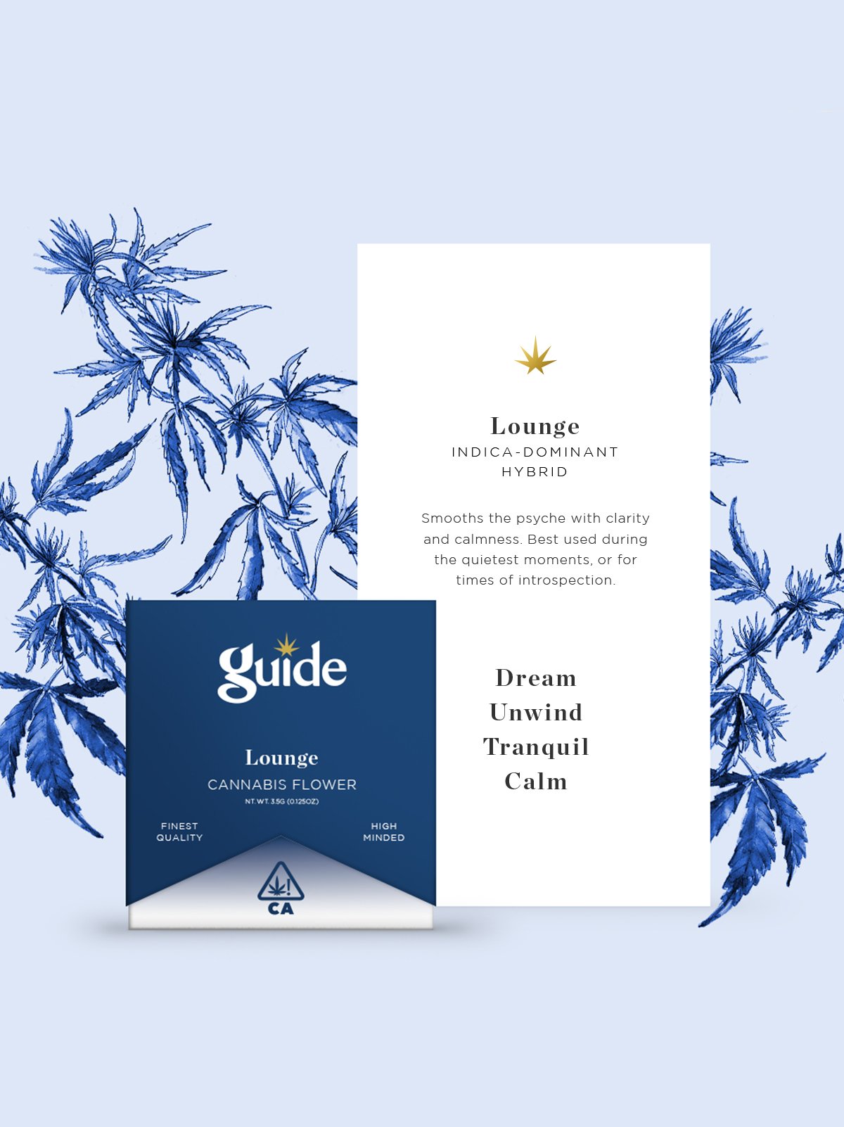 GUIDE_15.jpg