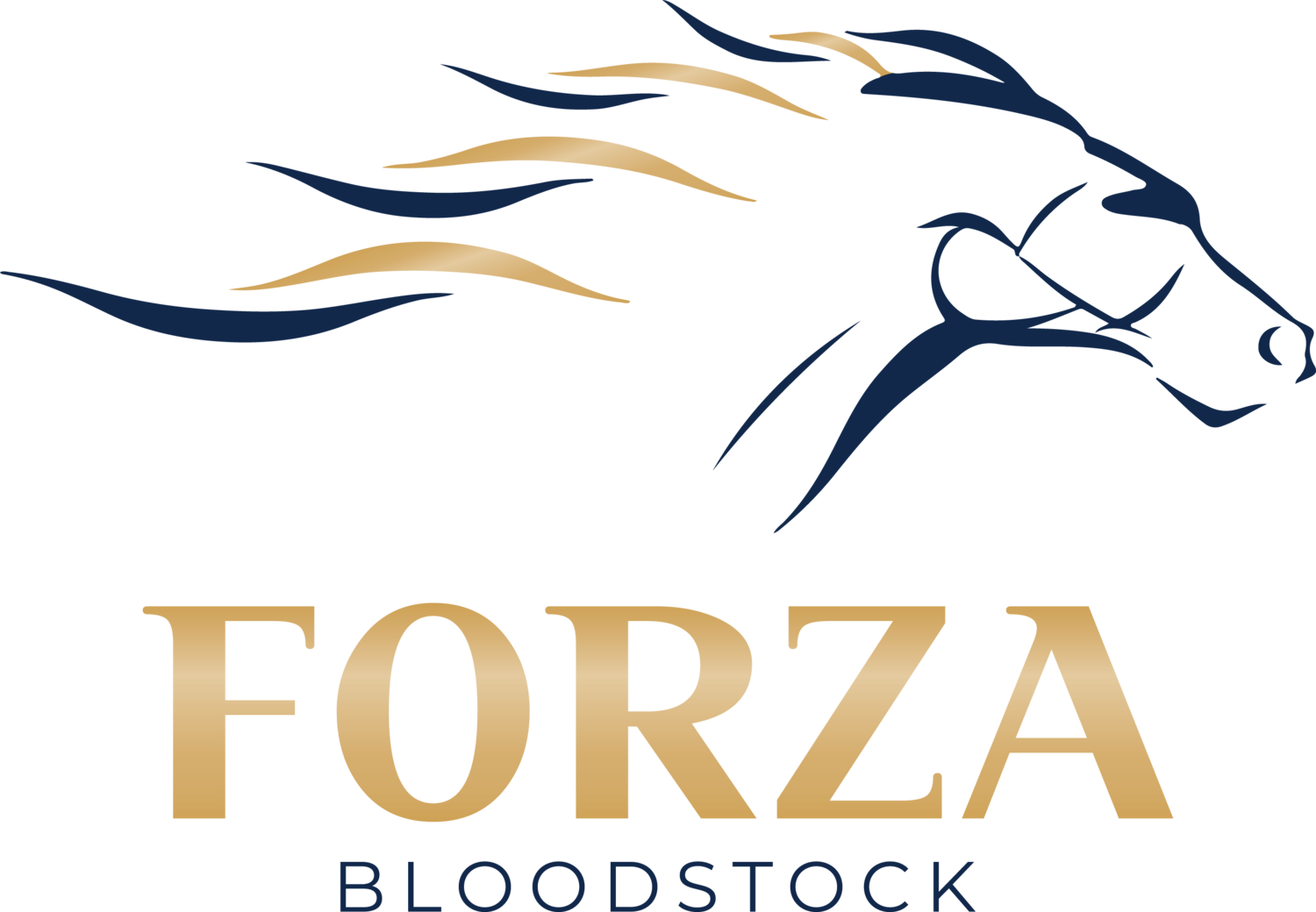 Forza Bloodstock