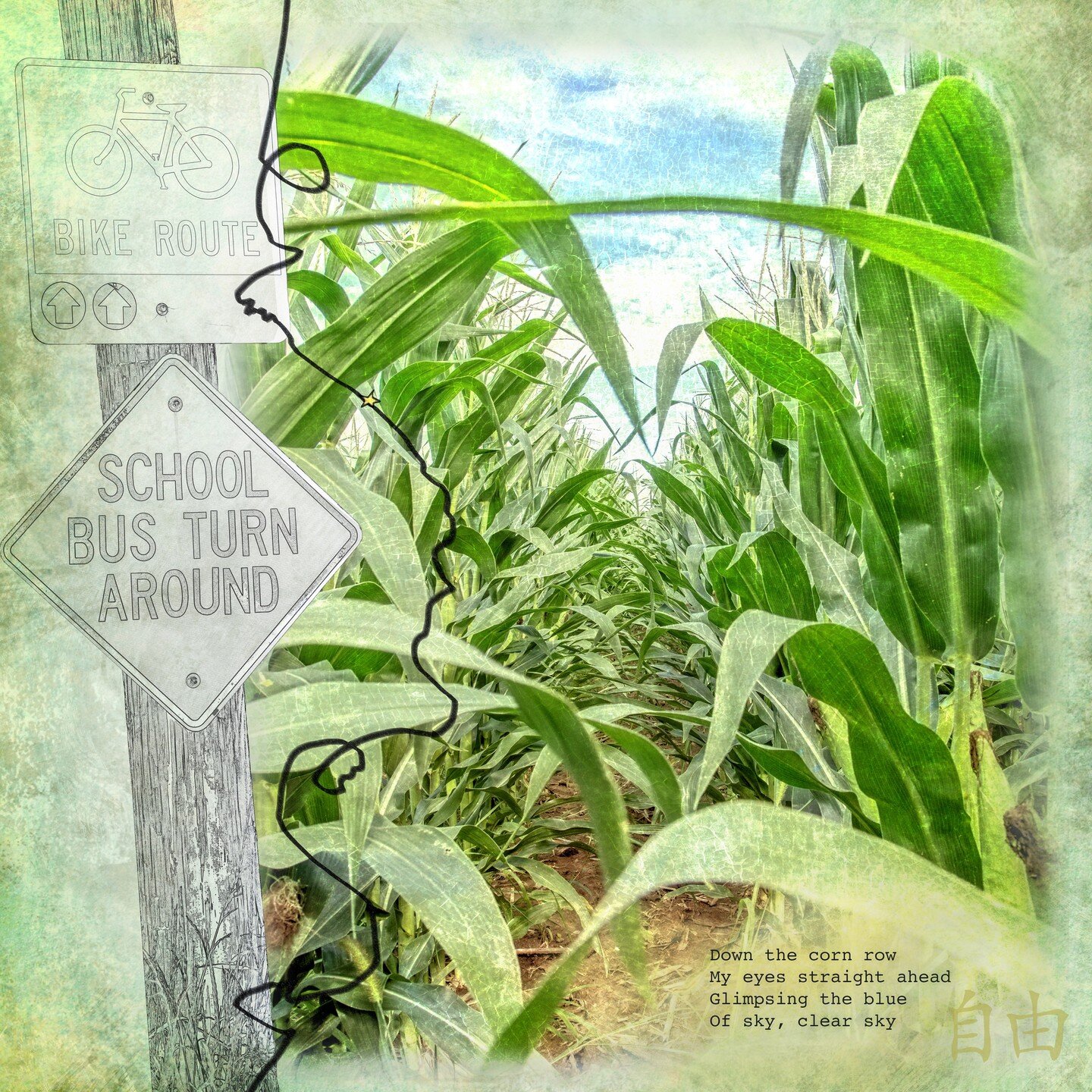 Down the corn row
My eyes straight ahead
Glimpsing the blue
Of sky, clear sky

This is #7 in my Licorice Trail series titled &quot;Down the Corn Row.&quot; 
.
.
#bikeride #bikelife #bike #cycling #cyclist #traveling #roadtrip #travel #farming #agricu