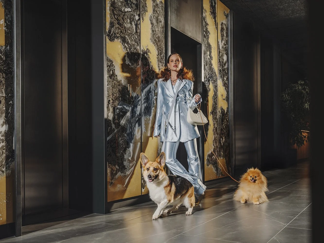 Pullman-Lifestyle-Lyon-Elevator-dogs-2024 copy.jpg