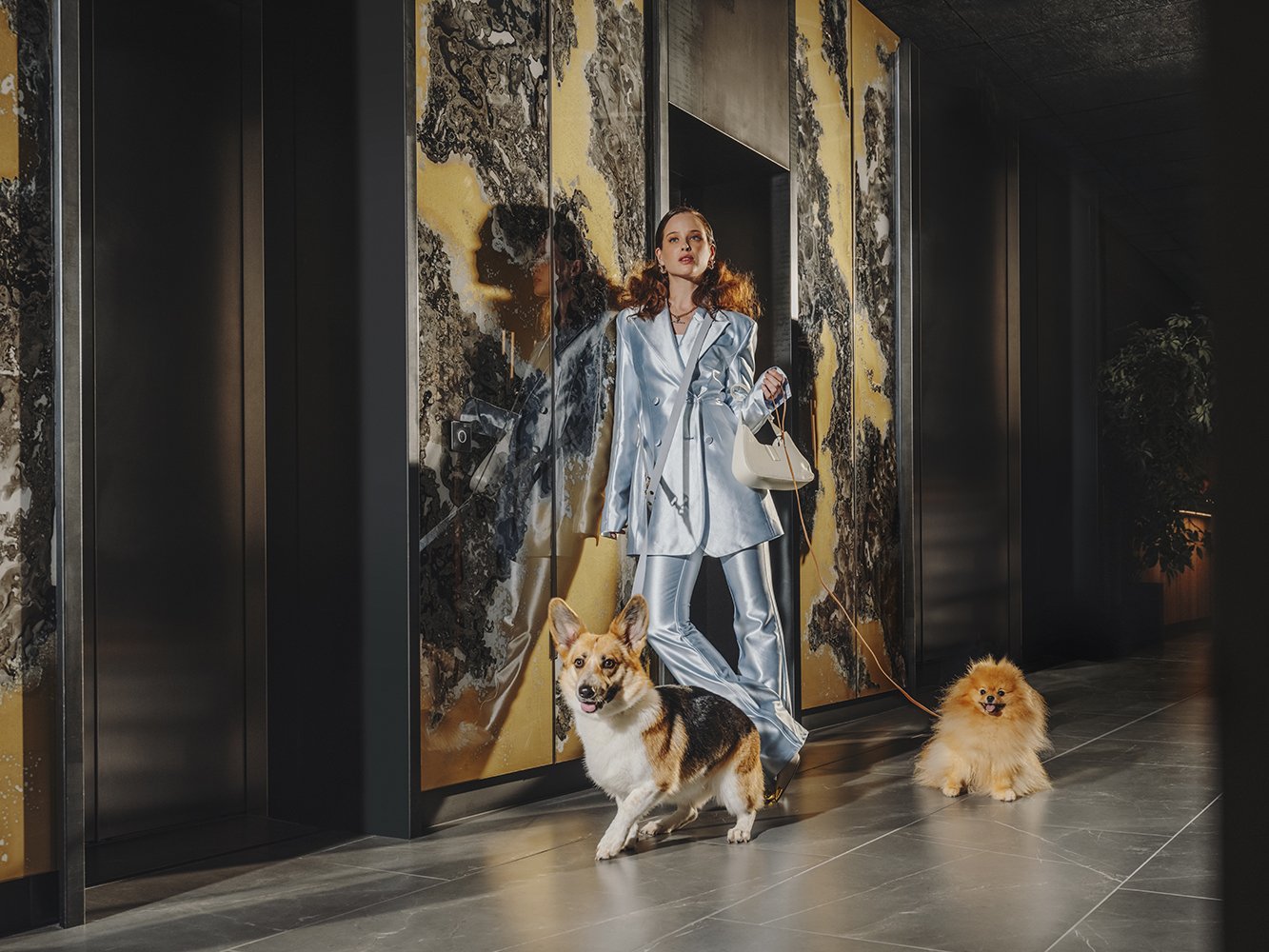 Pullman-Lifestyle-Lyon-Elevator-dogs-2024 copy.jpg