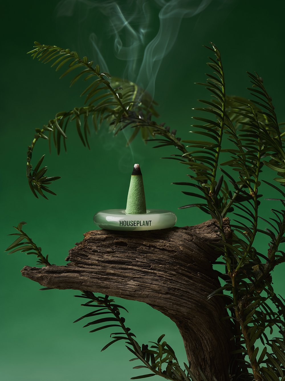 HousePlant Scent RichPine copy.jpg