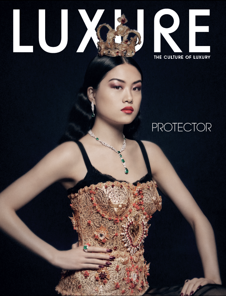 Protector Cover.png