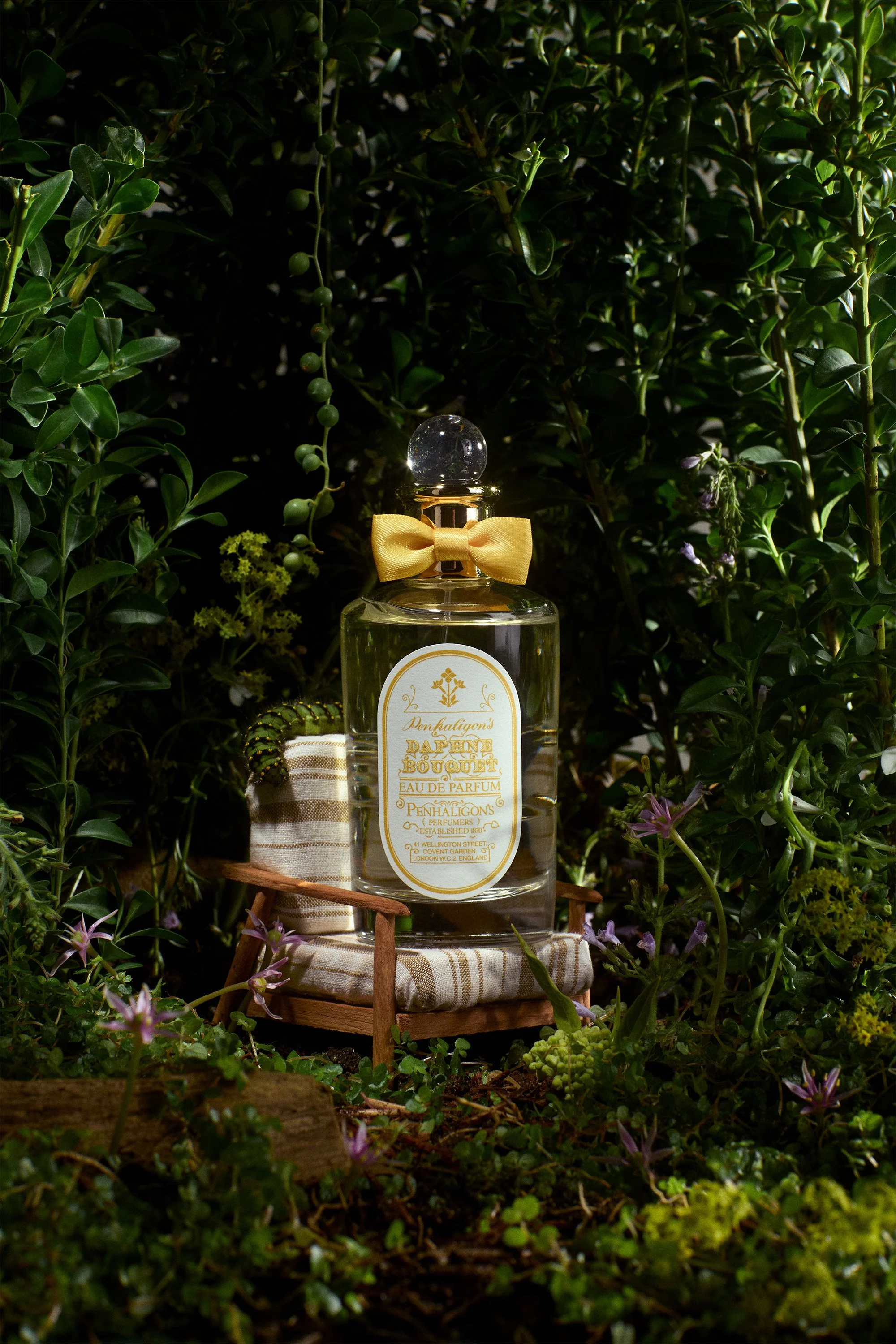 512_AnAPPLEaDay_23050 c.jpg