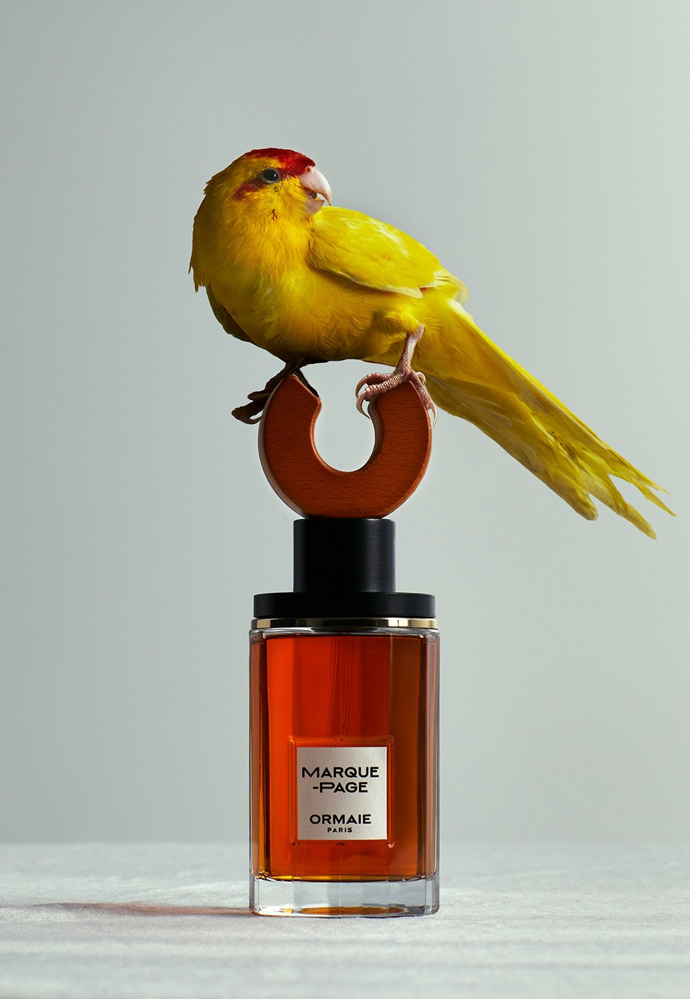 06.CM STUDIO copy.jpg