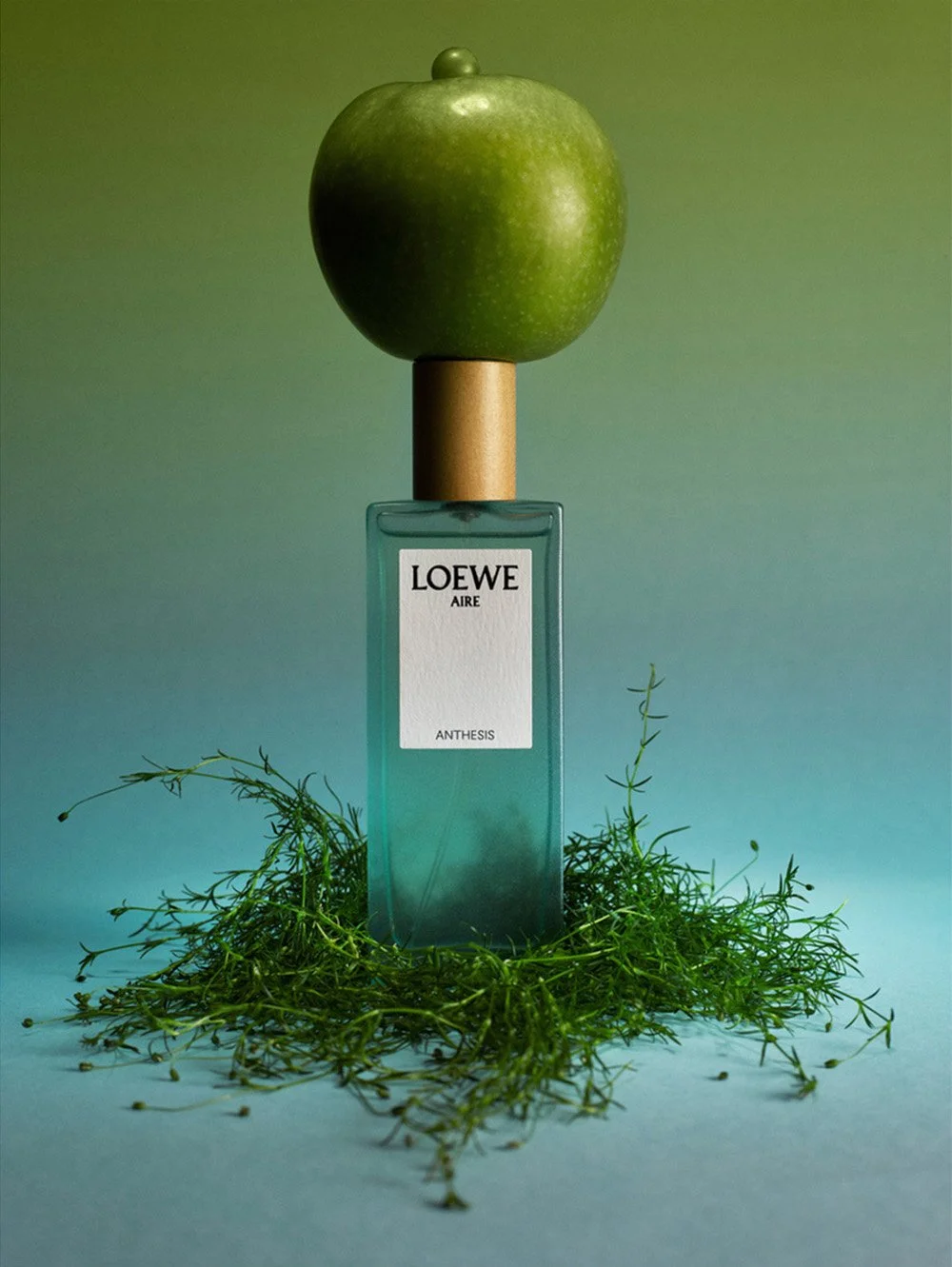 Loewe 05.jpg