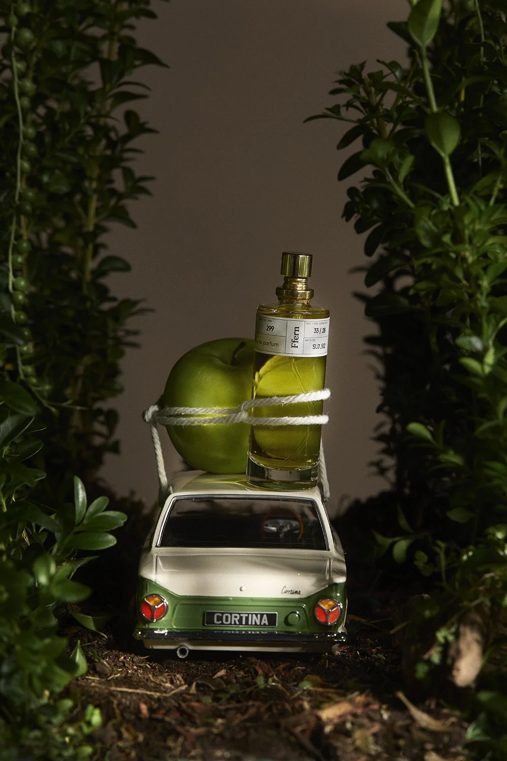 512_AnAPPLEaDay_23207 2 copy 2.jpg