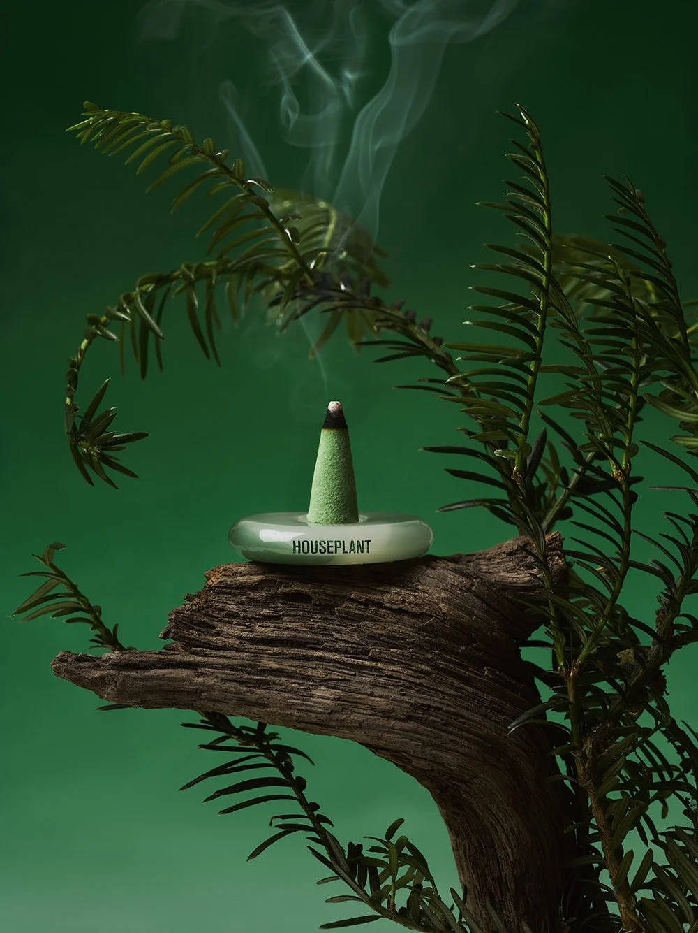 HousePlant Scent RichPine copy.jpg