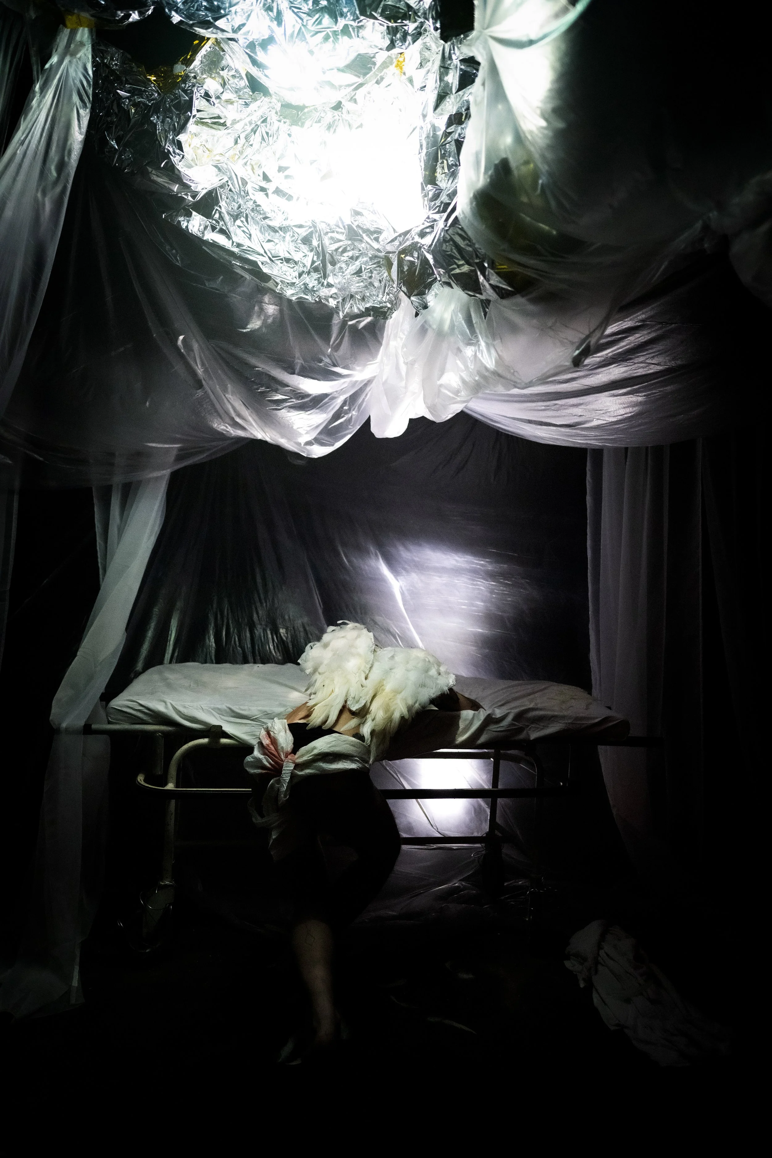 DSC_9094 (1) (1).jpg