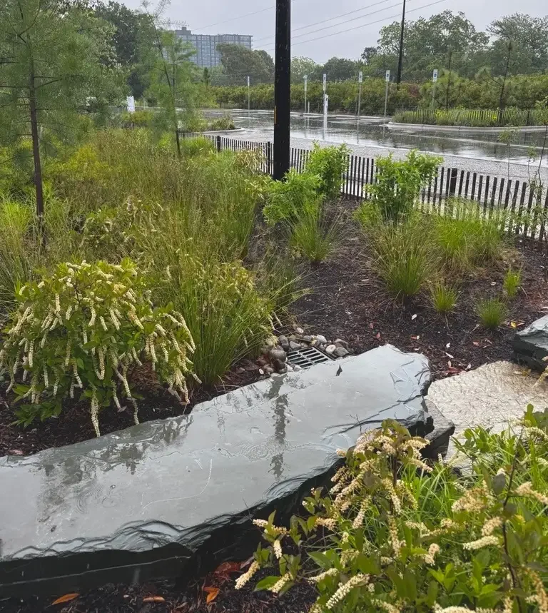 Rain garden using permeable gravel to help reduce runoff and recharge groundwater, Dix Park, Raleigh, NC