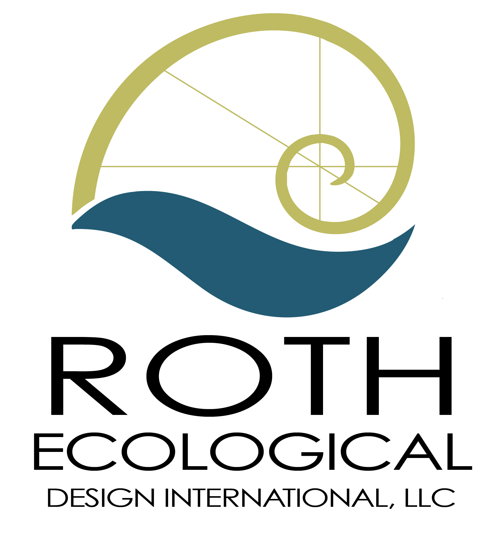a company logo consisting of a spiral wave superimposed on a golden ratio which floats above a stylized wave of water and the text Roth Ecological Design International, LLC