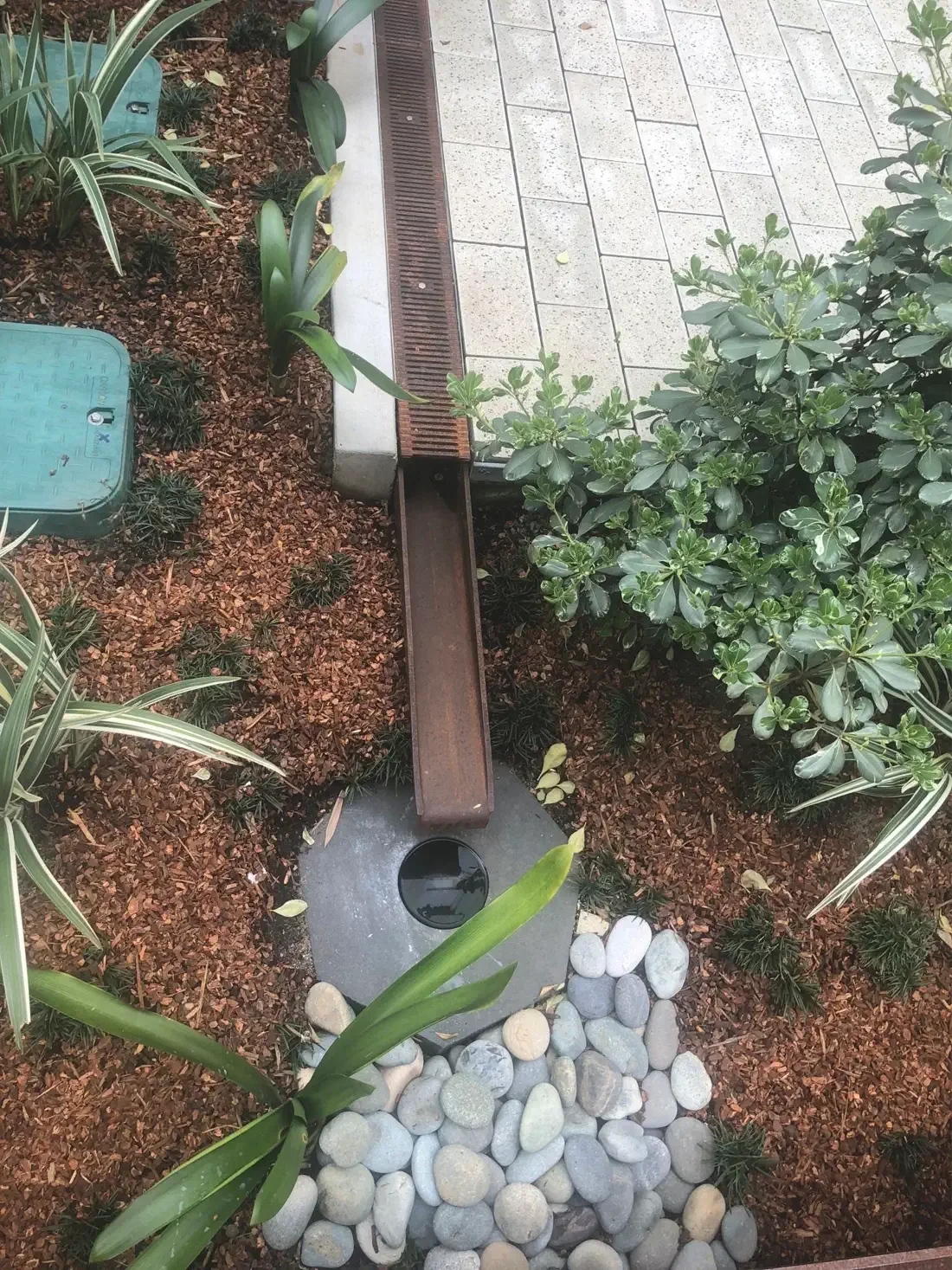 A rain garden installed at an apartment building in Downtown San Francisco
