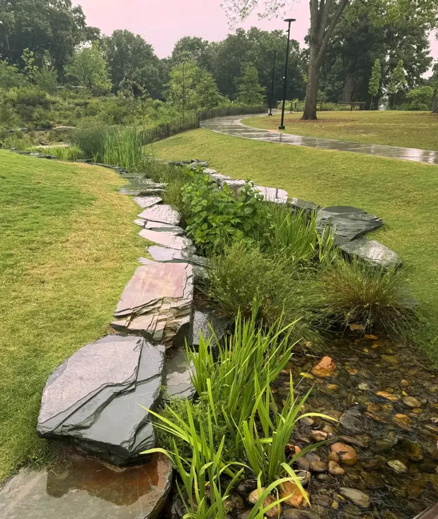 Rain garden using native plants to divert stormwater downstream back to Walnut Creek and help recharge groundwater, Dix Park, Raleigh, NC
