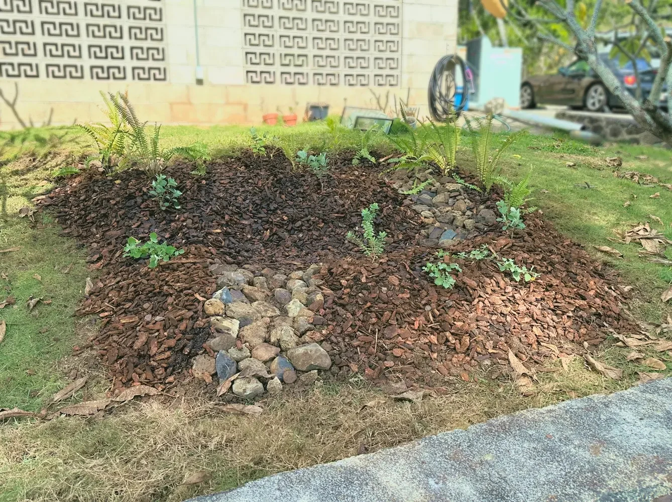 A freshly planted rain garden by community partner Protect & Preserve Hawai’i, featuring an array of Native Hawaiian plants, including ʻaʻaliʻi, ʻilima, pōhinahina, ʻakia, and kupukupu, will help slow stormwater runoff and filter pollutants while rec