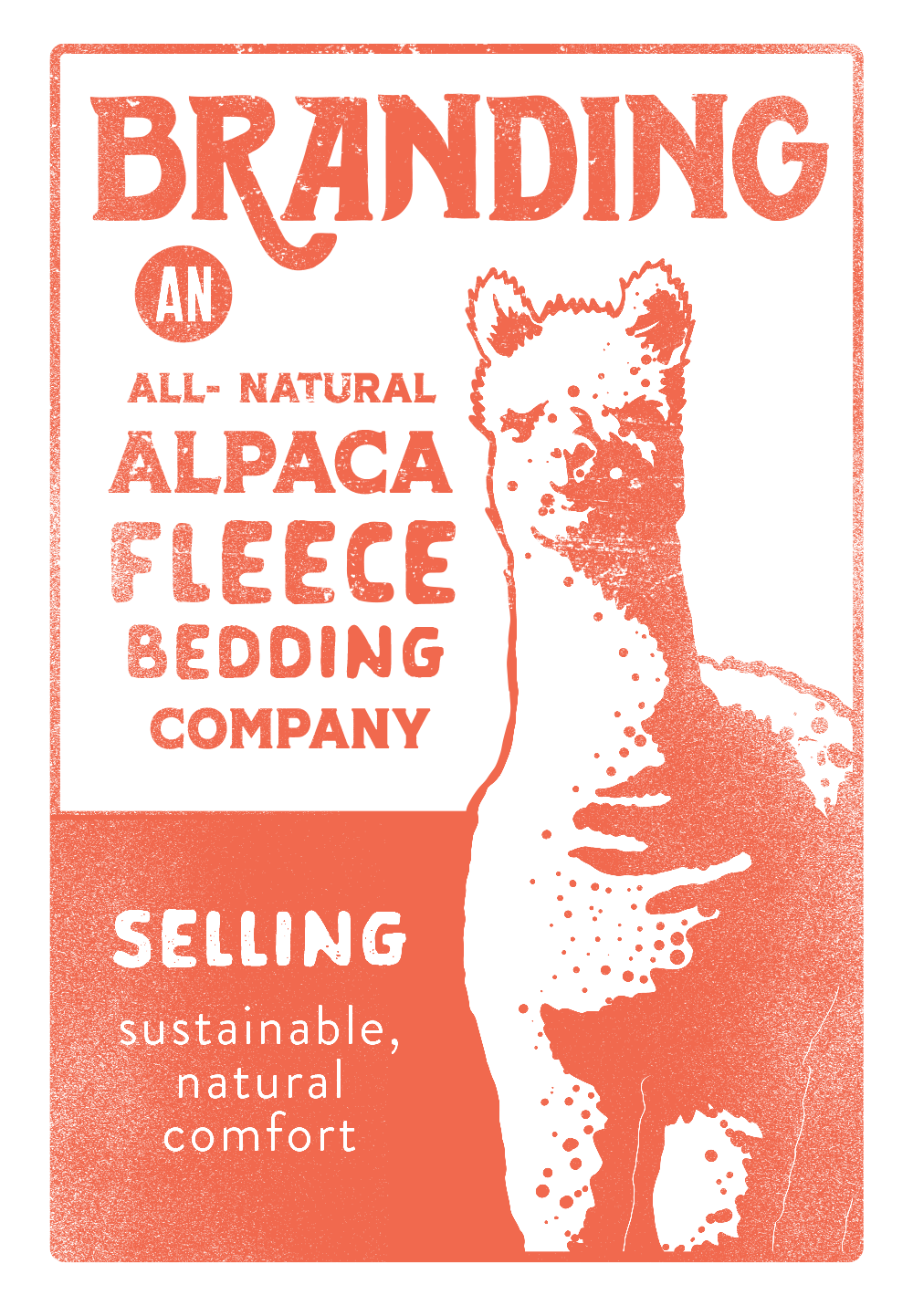 malpaca.png