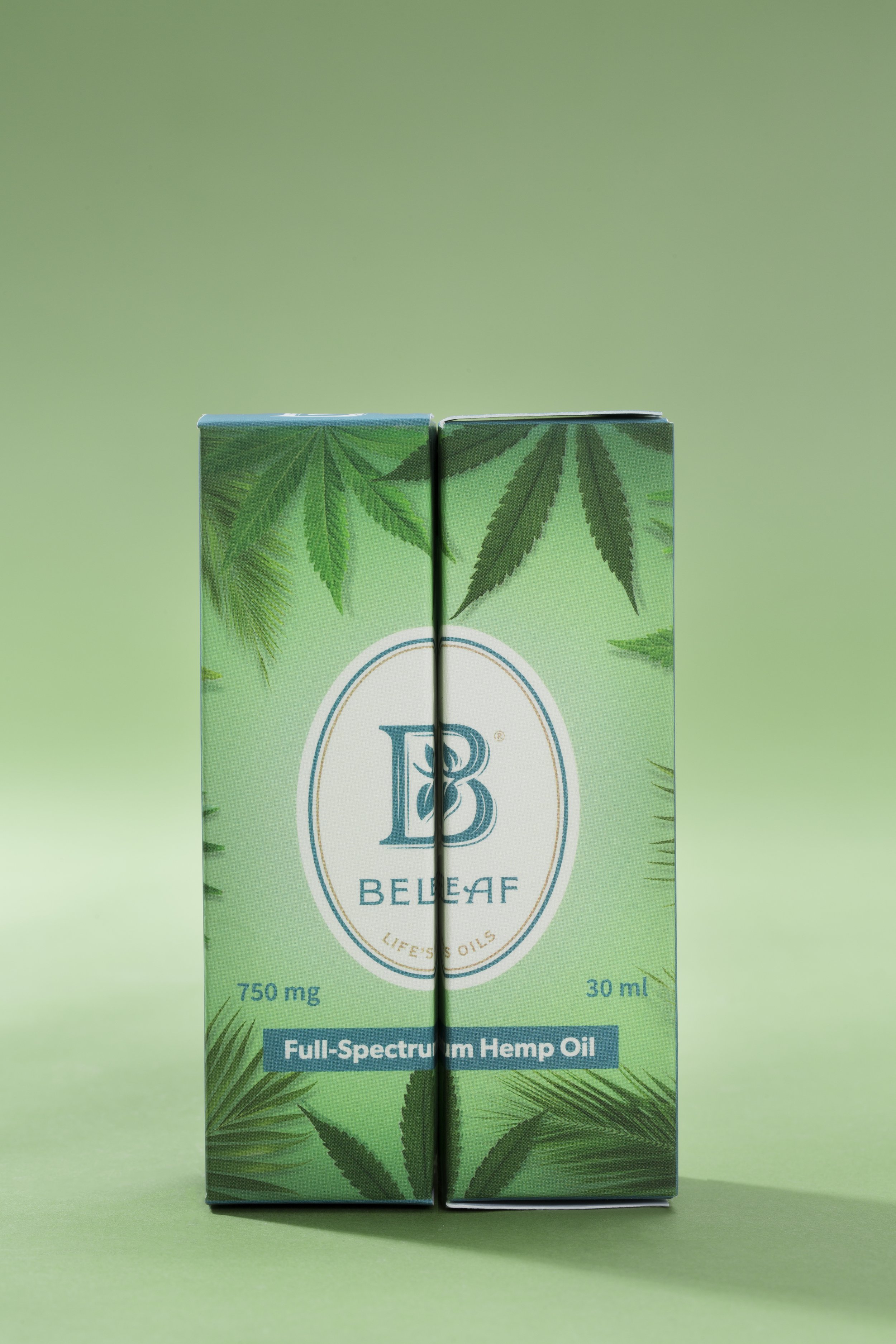 20181126_Beleaf22825.jpg