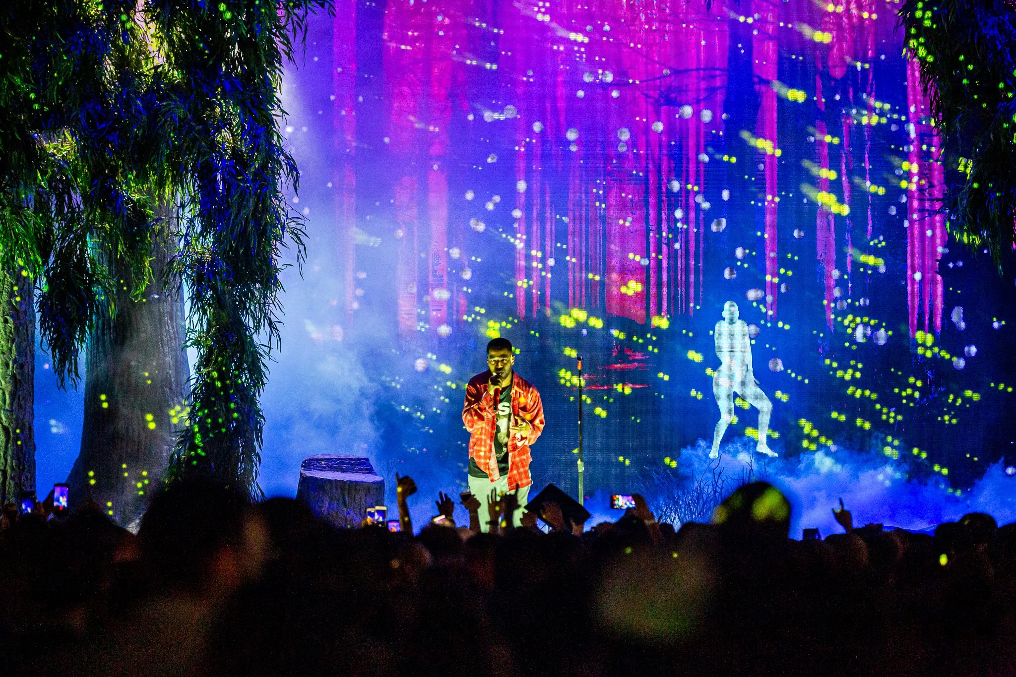 Poulos-KidCudi-Raleigh-2017-3R.jpg