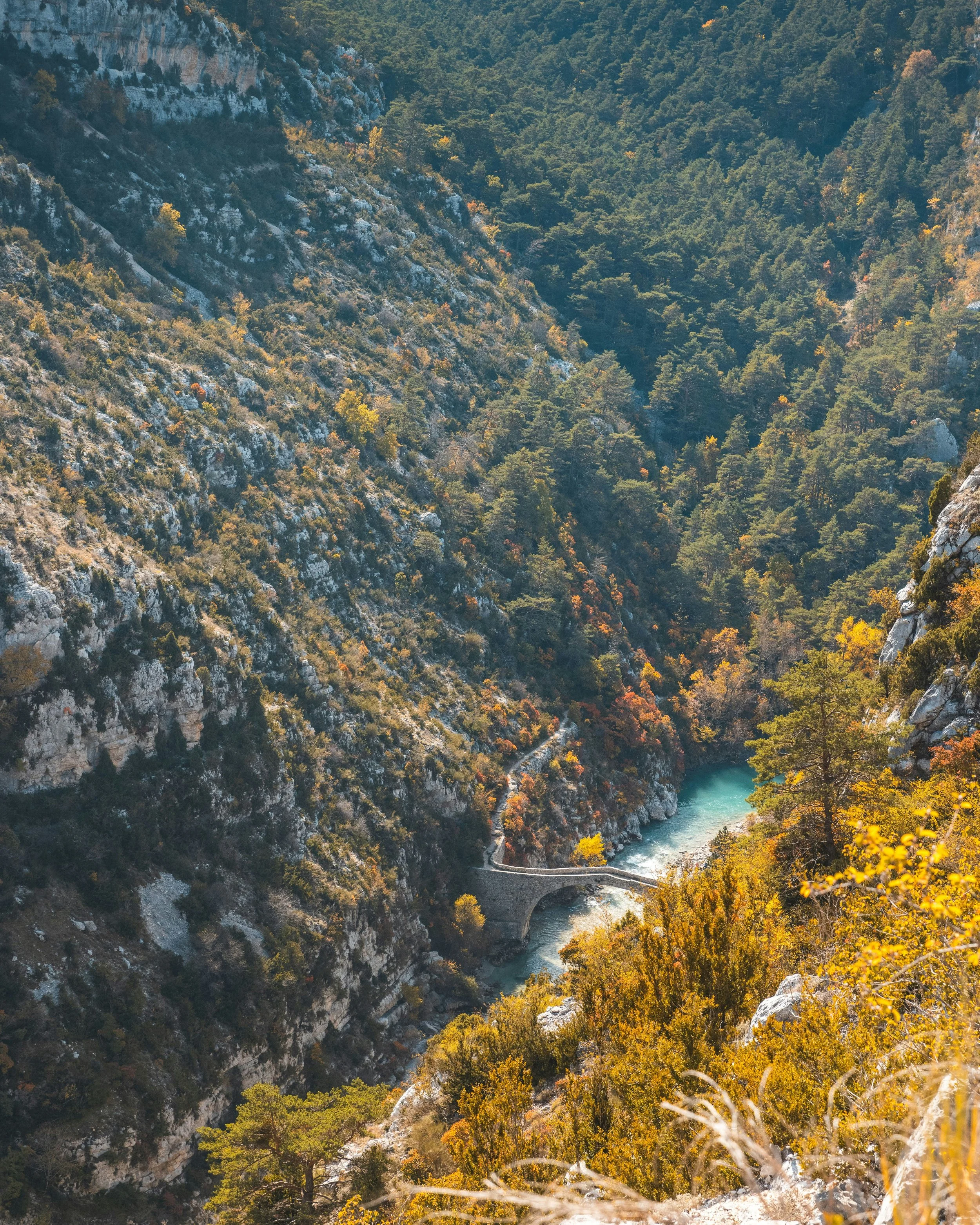 armands-brants-4wgrSgYgxS0-unsplash.jpg