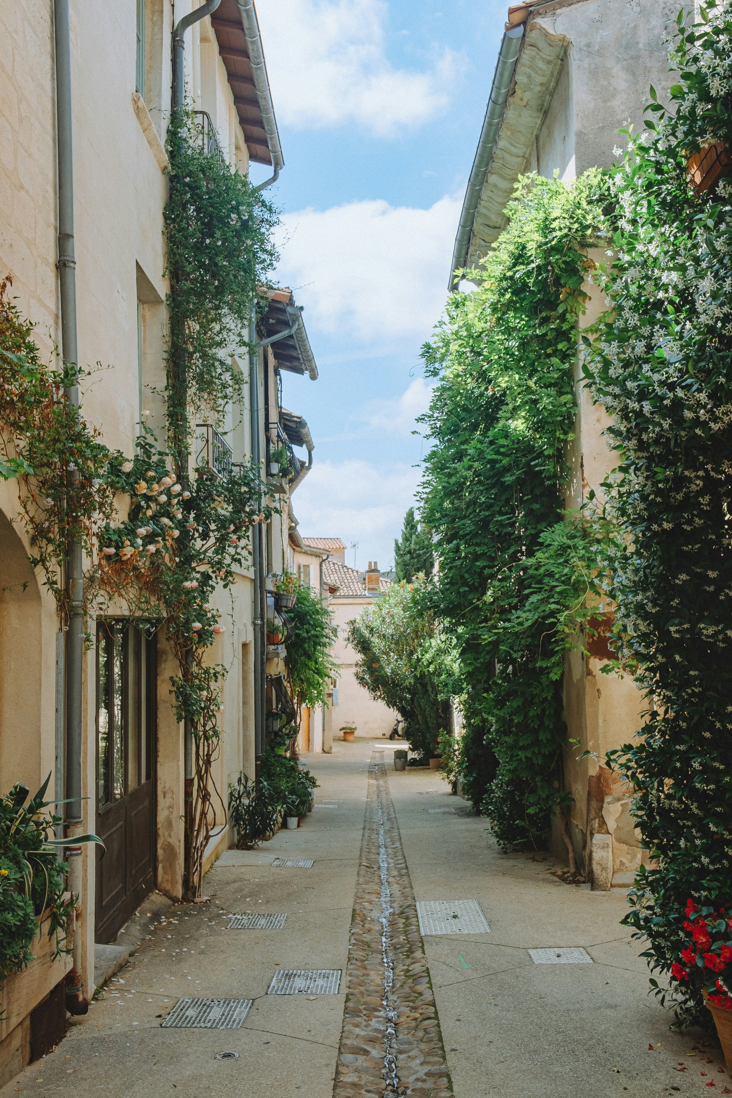 chelsea-essig-YEUiNLxU3Jc-unsplash.jpg