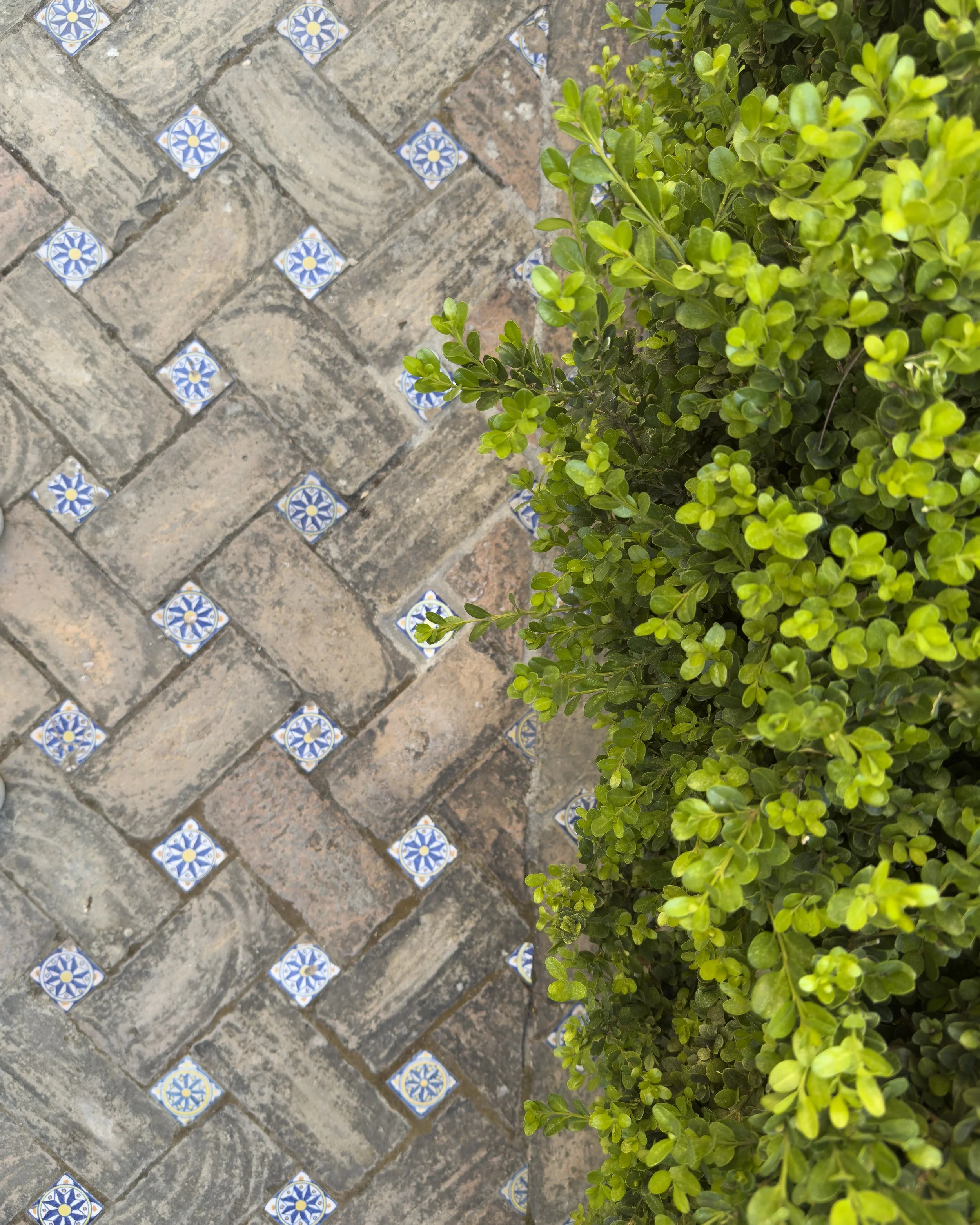 Real Alcazar gardens, Seville