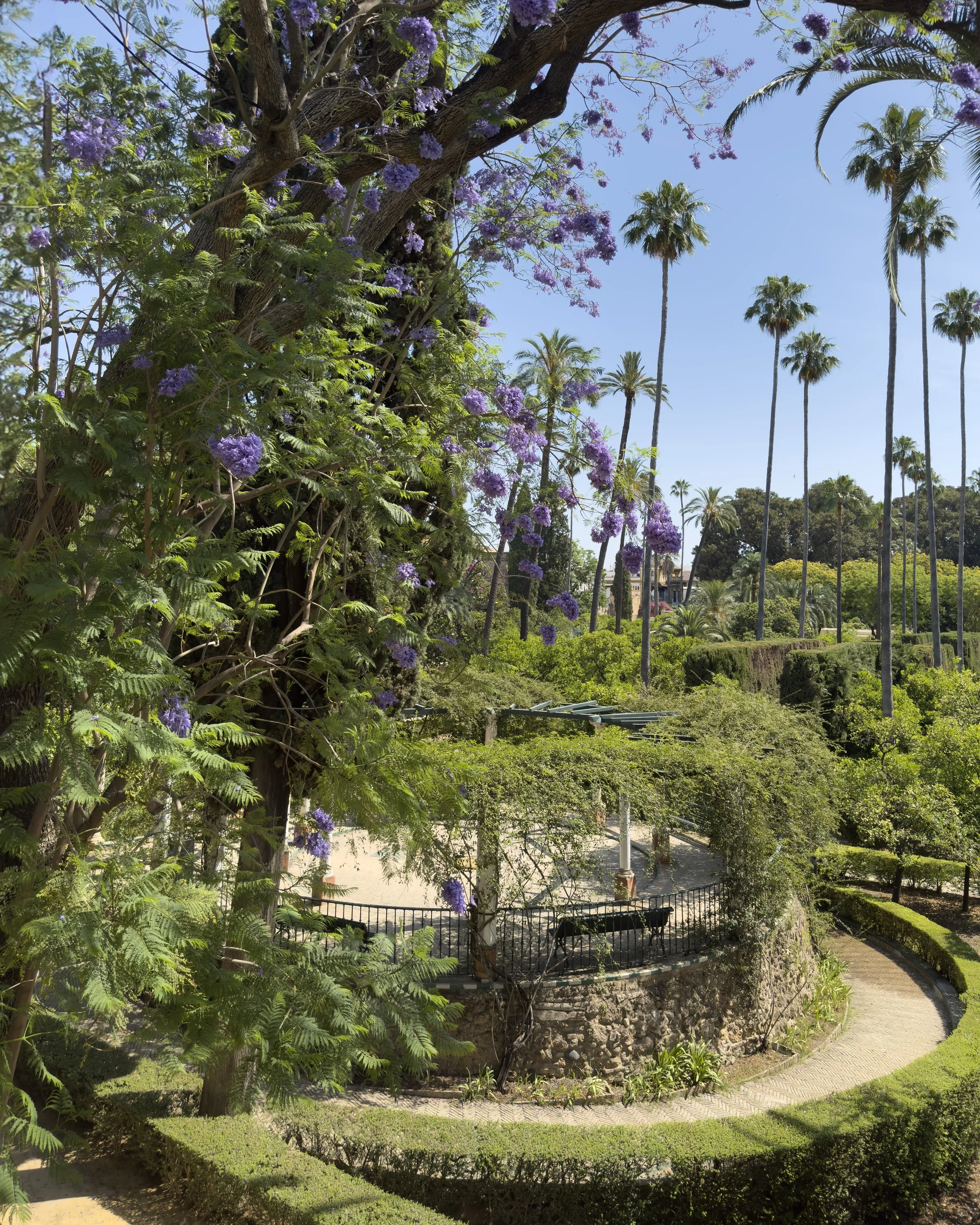 Real Alcazar gardens, Seville