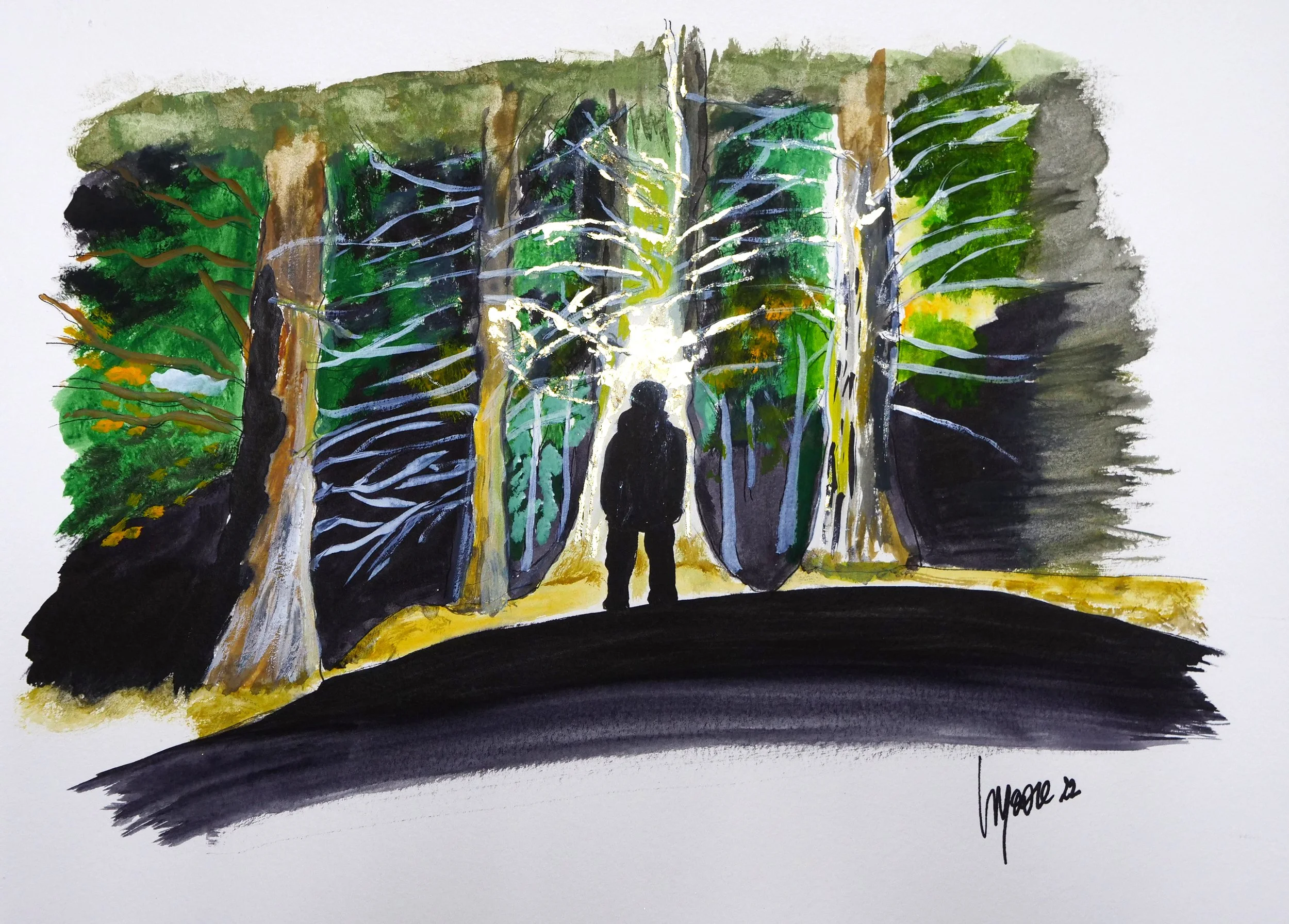 searching for the light