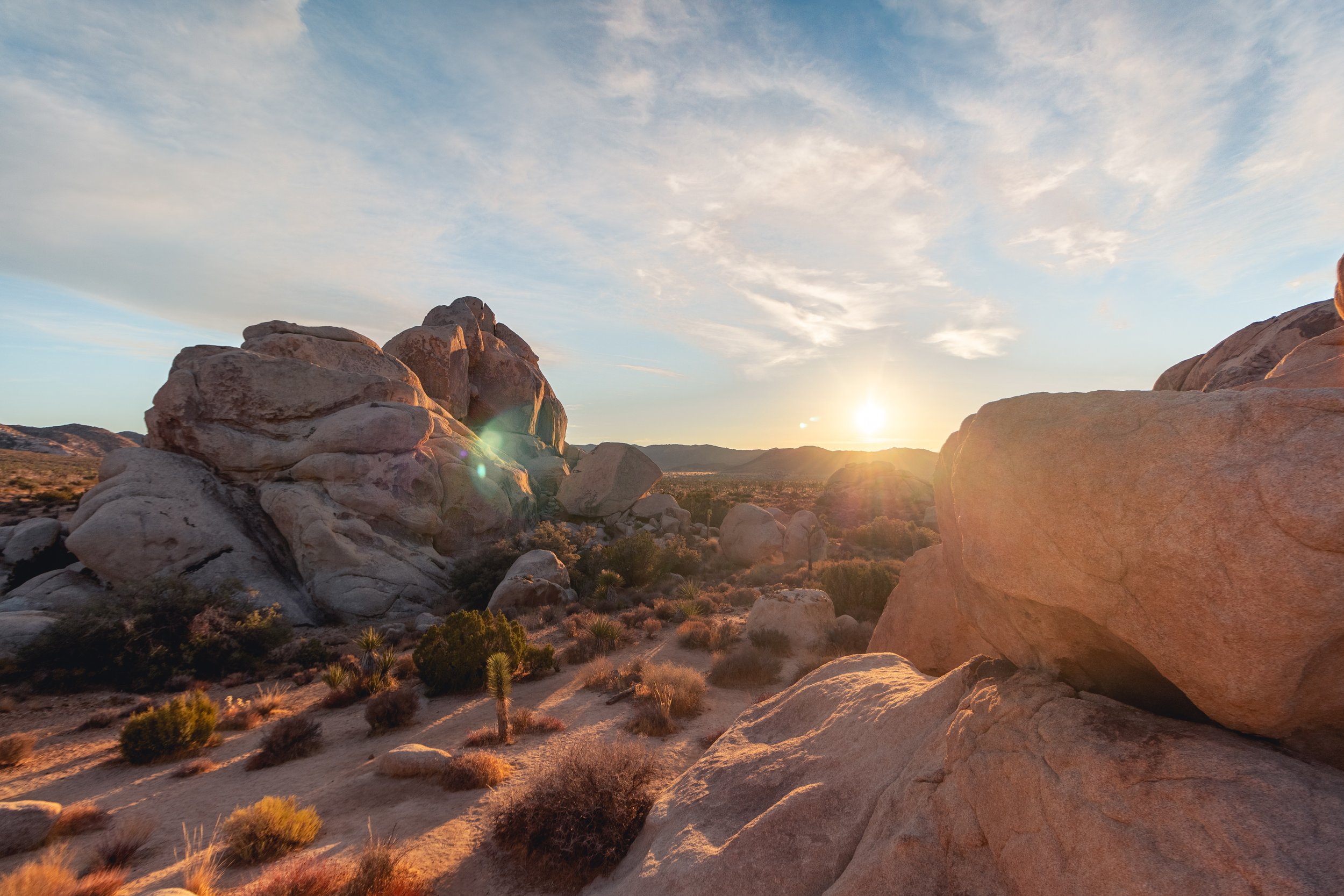 Joshua Tree, CA (2021)