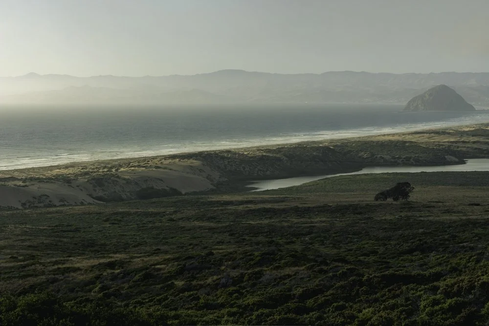 Morro Bay, CA (2020)
