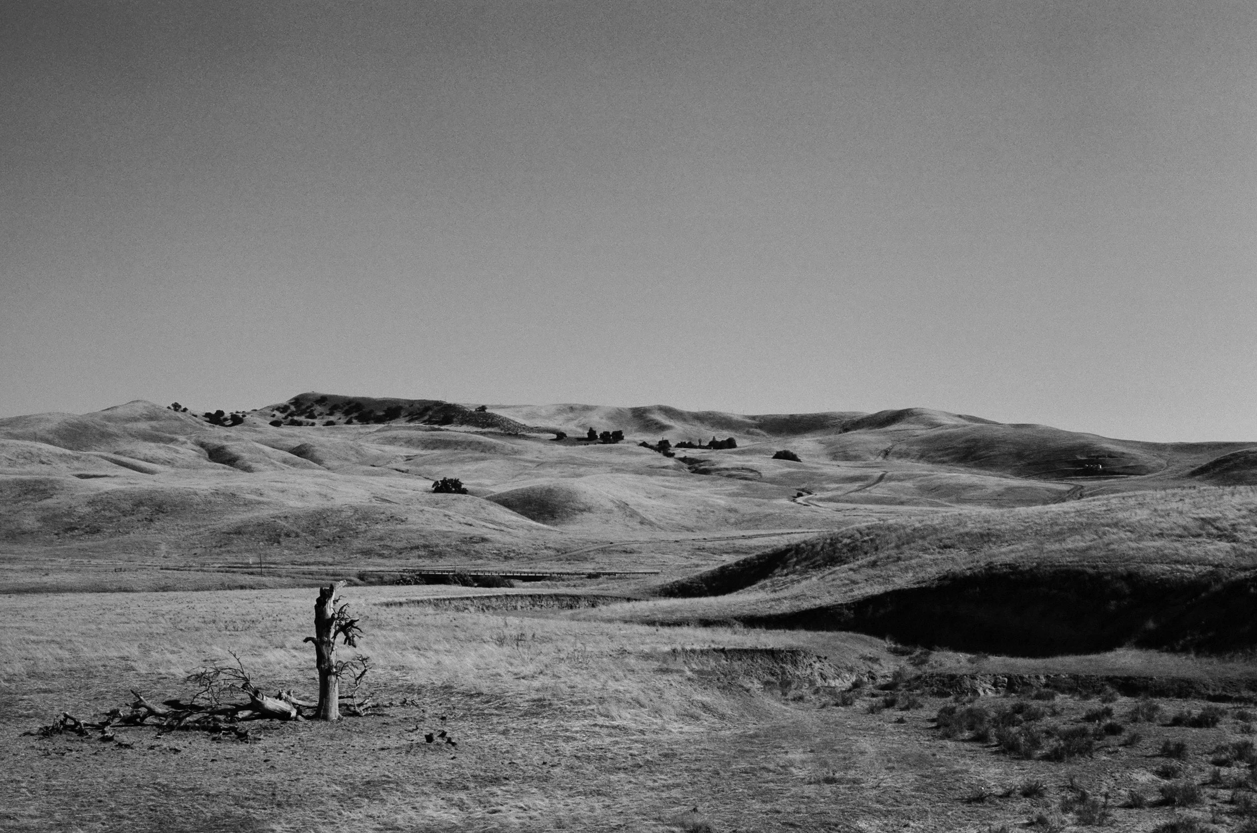 Central California (2023)