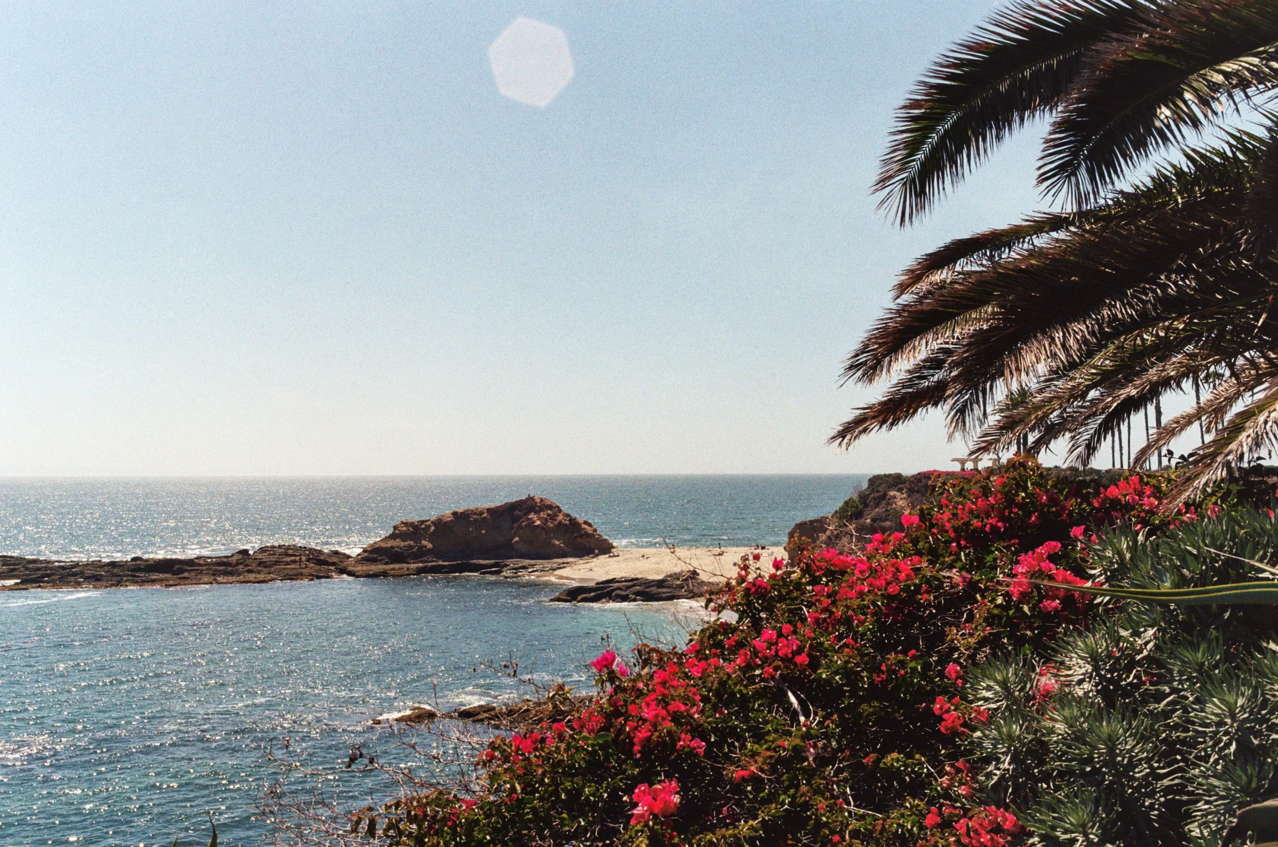 Goff Island, CA (2021) shot on film.