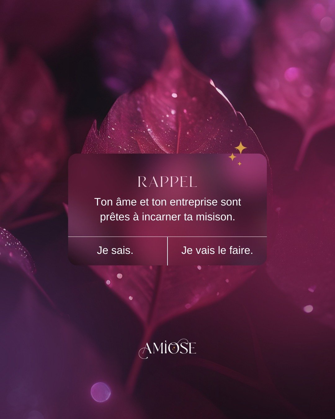 Ton &acirc;me te porte vers ta mission depuis le commencement. 
Ton entreprise t'a choisie pour lui donner vie.

Et toi, qu'est-ce que tu attends ? 

De quoi as-tu besoin pour incarner ta mission d'entrepreneure?

👉 De simplement parler de tes offre