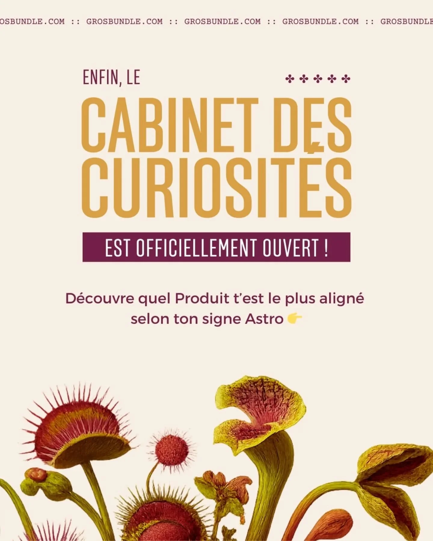 Les portes du Cabinet des Curiosit&eacute;s sont officiellement ouvertes jusqu'au 1er octobre 🥳🤩

Et on a tous un Match cosmique qui nous attend parmi tous les produits de ce bundle magique &agrave; 299$ (alors que sa valeur est de plus de 10000$ /