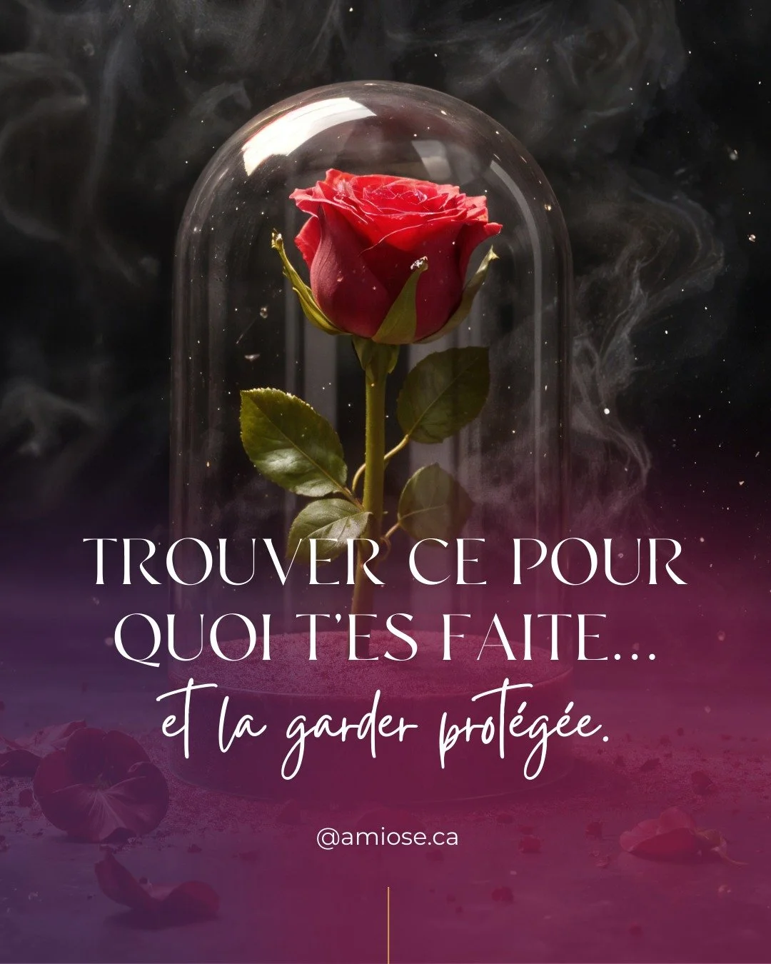 Je pensais que c'&eacute;tait la fin du voyage... En fait c&rsquo;&eacute;tait le d&eacute;but du vrai.

Il y a un an apr&egrave;s une retraite, j&rsquo;ai &eacute;crit :
&laquo; La boucle est boucl&eacute;e. Je peux mourir en paix. &raquo;
Je venais