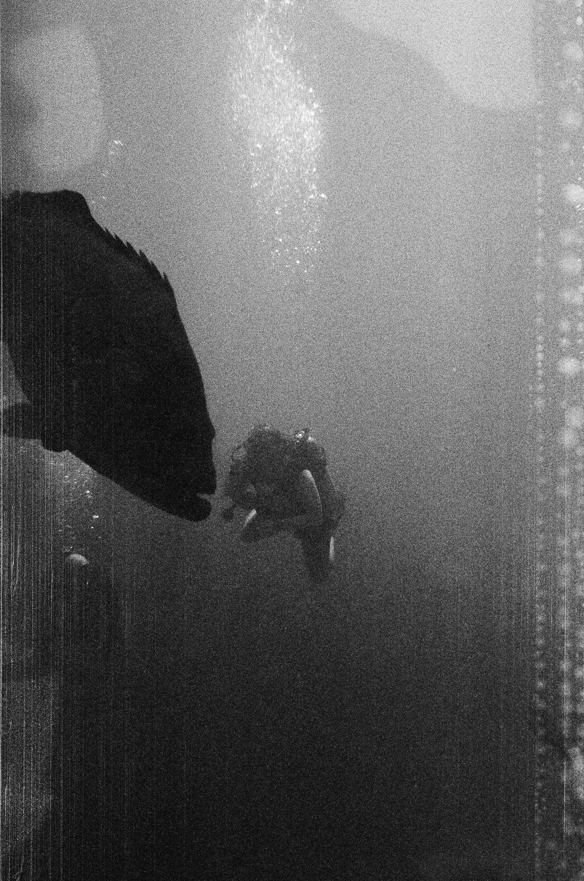 000076950024.jpg