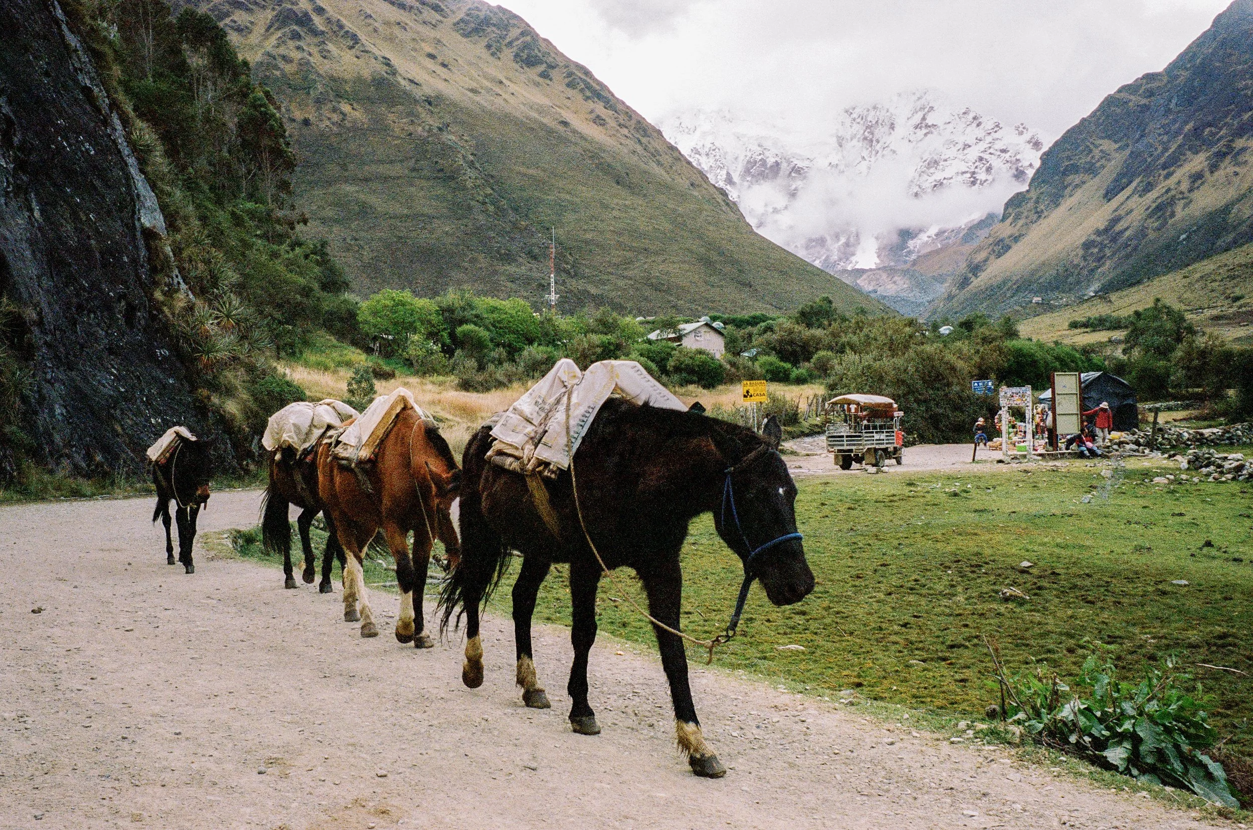 peru-digital-1980.jpg