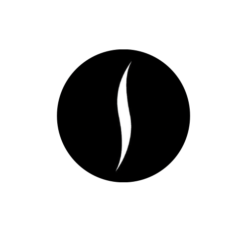 sephora logo.png