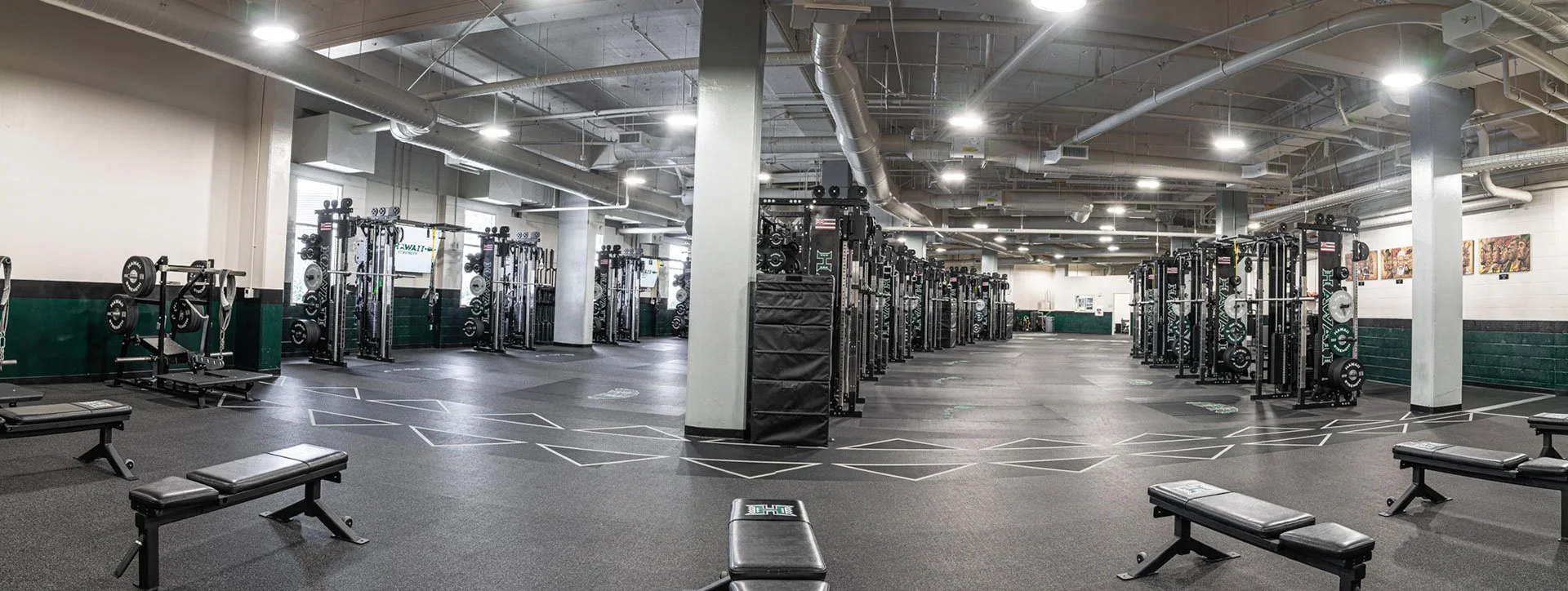 hawaii-university-samson-43 1.jpg