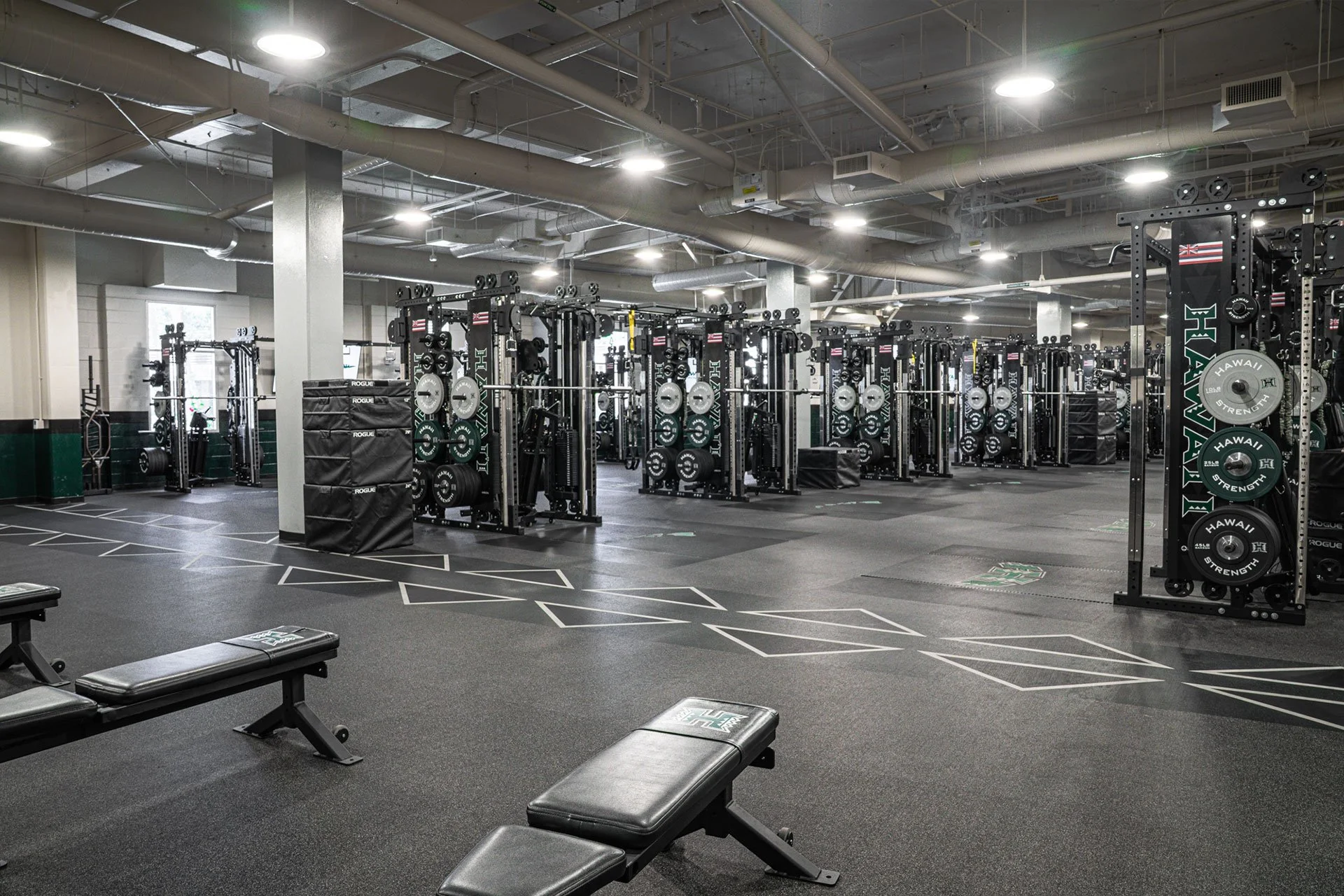 hawaii-university-samson-48 1.jpg