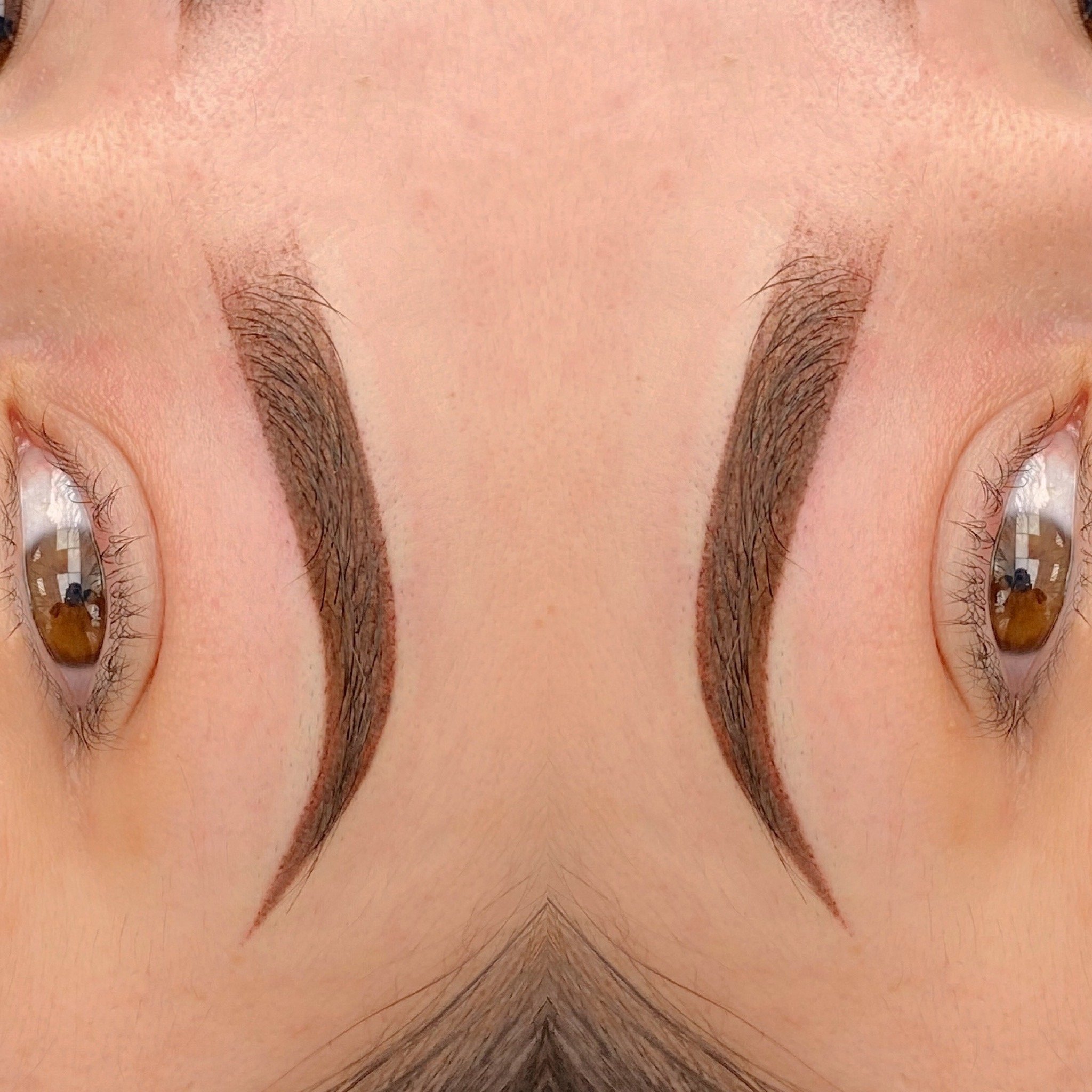 Ombre powder brows