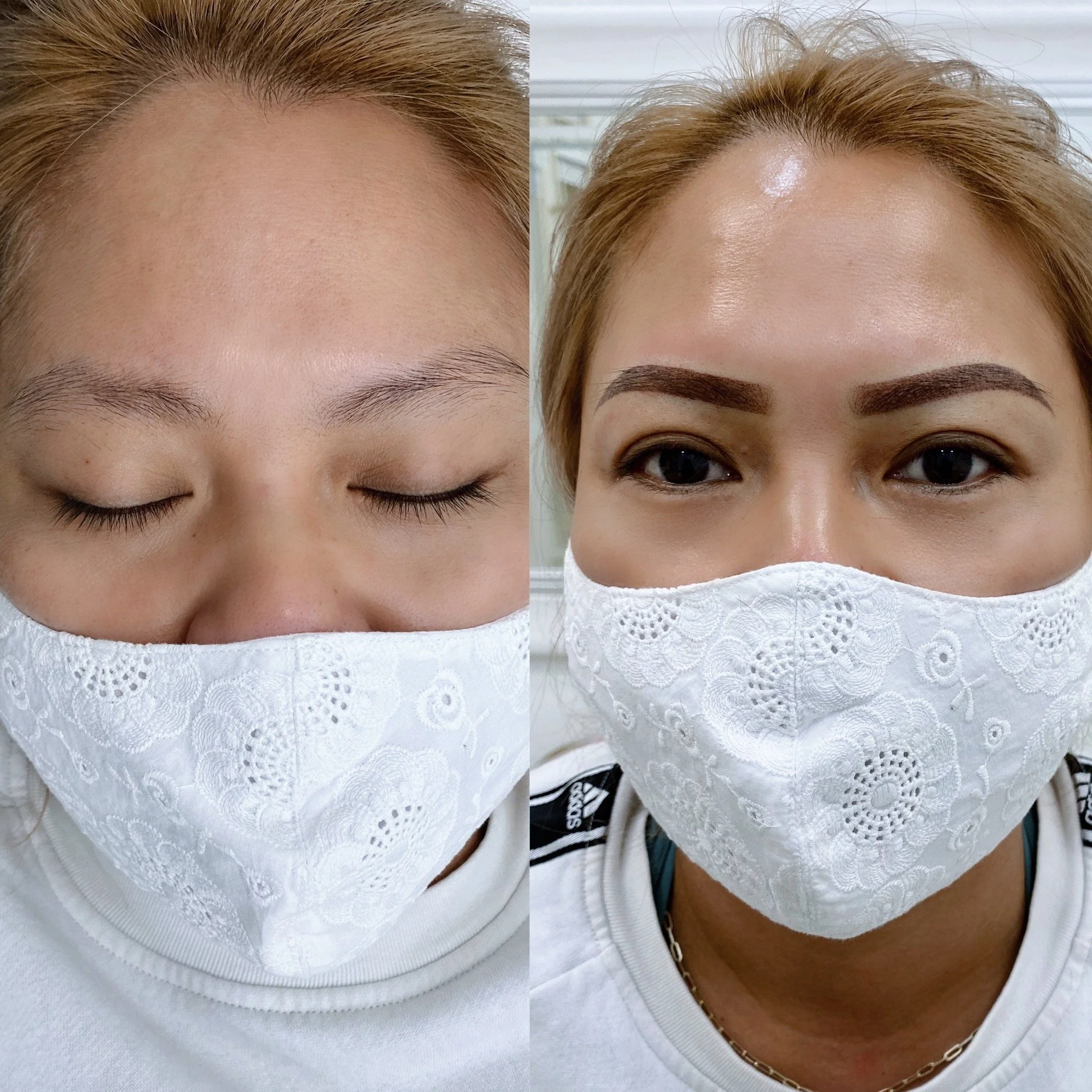 Before and after Ombre powder brows