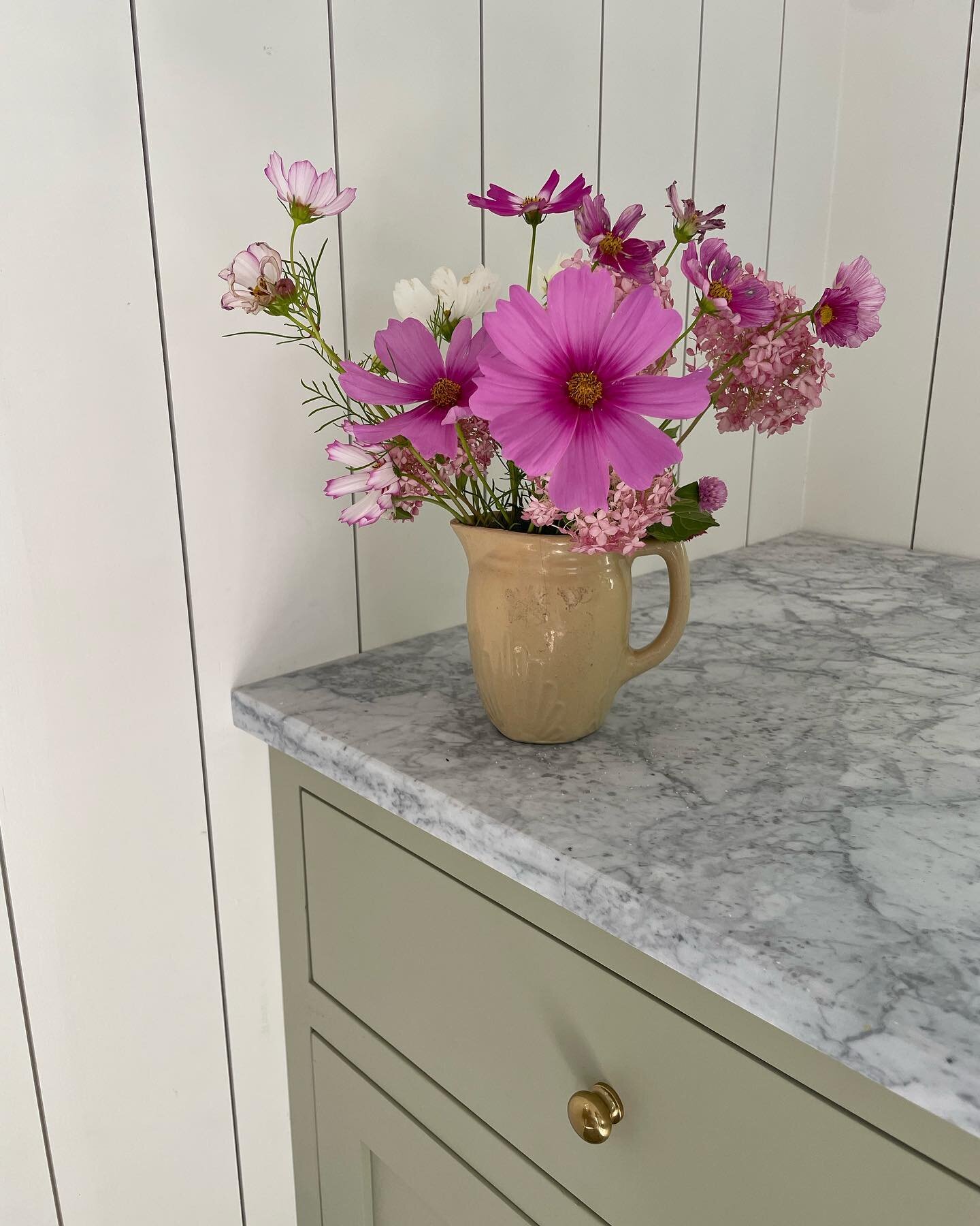 Fresh Flowers

Flowers in the kitchen always make me happy especially when you can cut them from your flower beds. Hydrangeas and cosmos &hellip; I love you ! 

Happy Thursday to You 🤍
.
.
.
.
#flowersbyfig 
#figdesigncompany
#flowers
#flower
#kitch