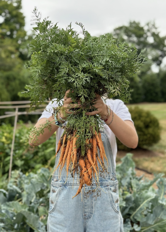 Screenshot 2026-02-17 at 3.45.37 PM.png