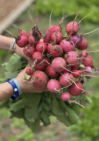 Screenshot 2026-02-17 at 3.48.49 PM.png