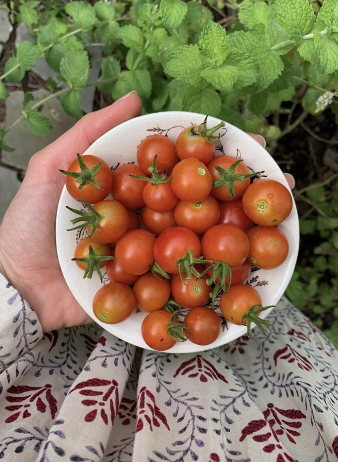 Screenshot 2026-02-17 at 3.48.58 PM.png