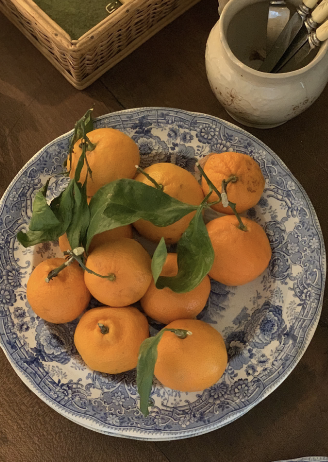 Screenshot 2026-02-17 at 4.52.45 PM.png