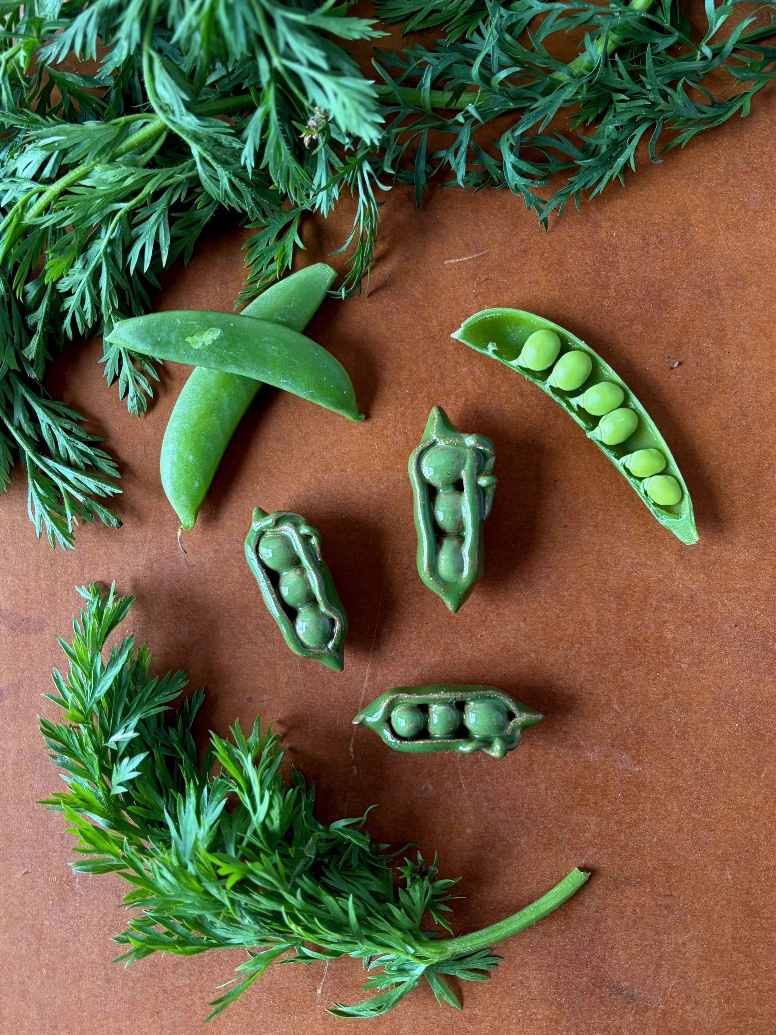 pea_pod_magnets.jpeg