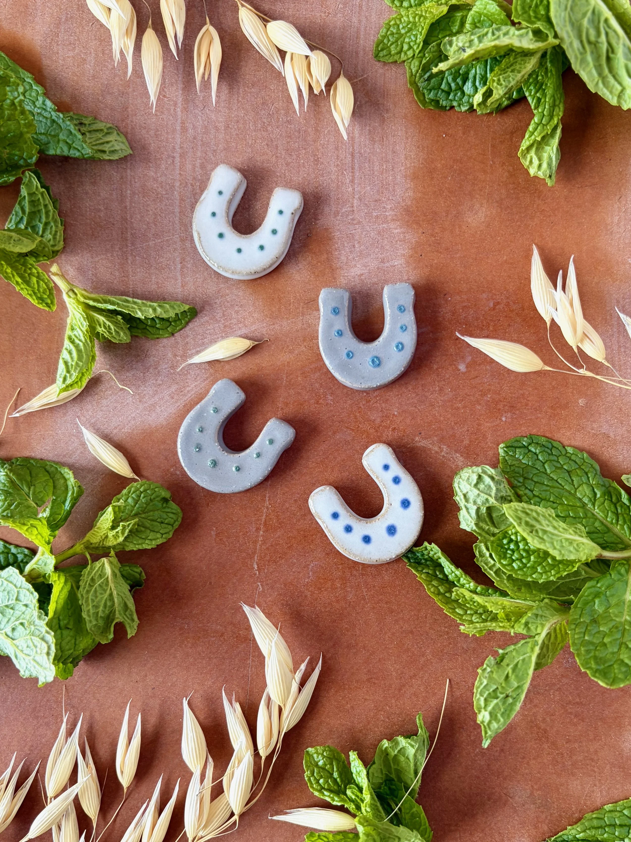 horseshoe_magnets_white_and_grey.jpeg