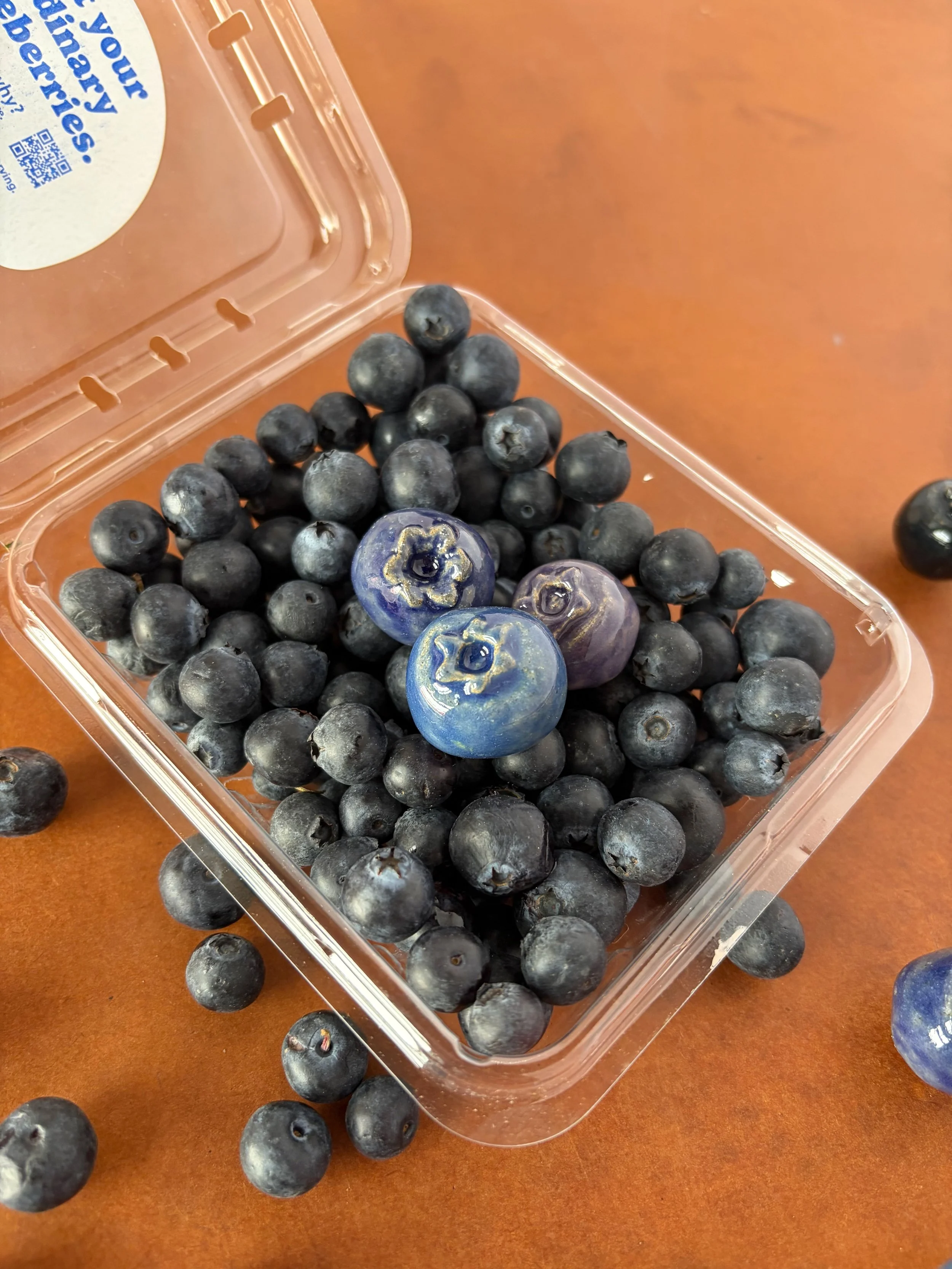 blueberry_magents_container_close_up.jpeg