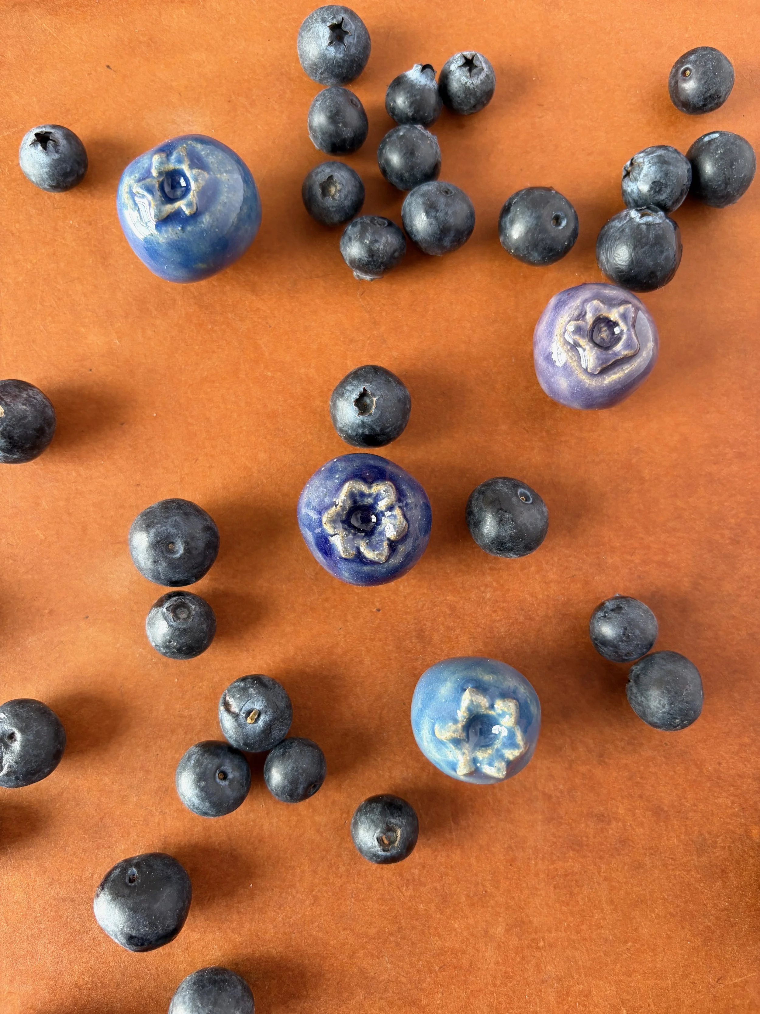 blueberry_magnets_flat_lay.jpeg