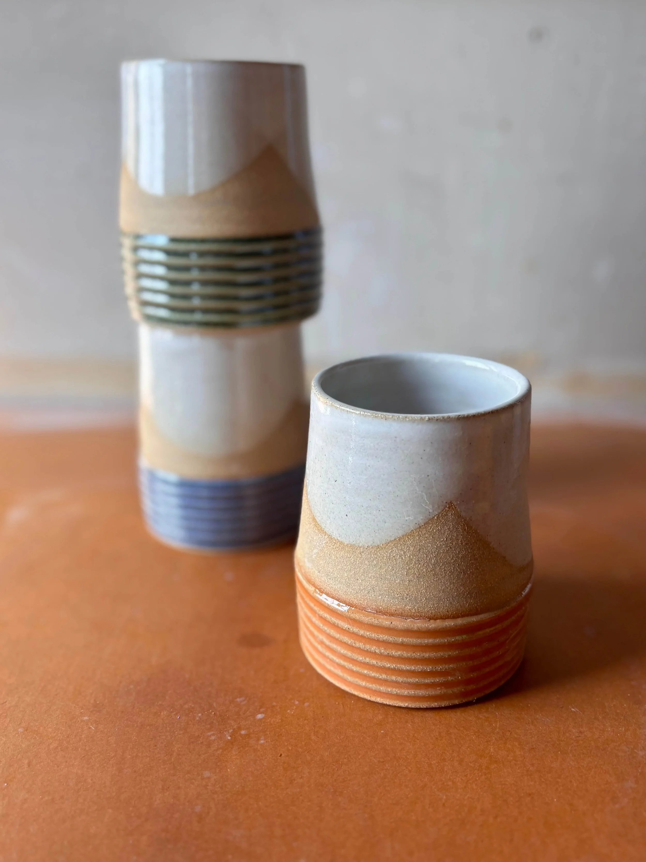 Earth Lines Tumblers